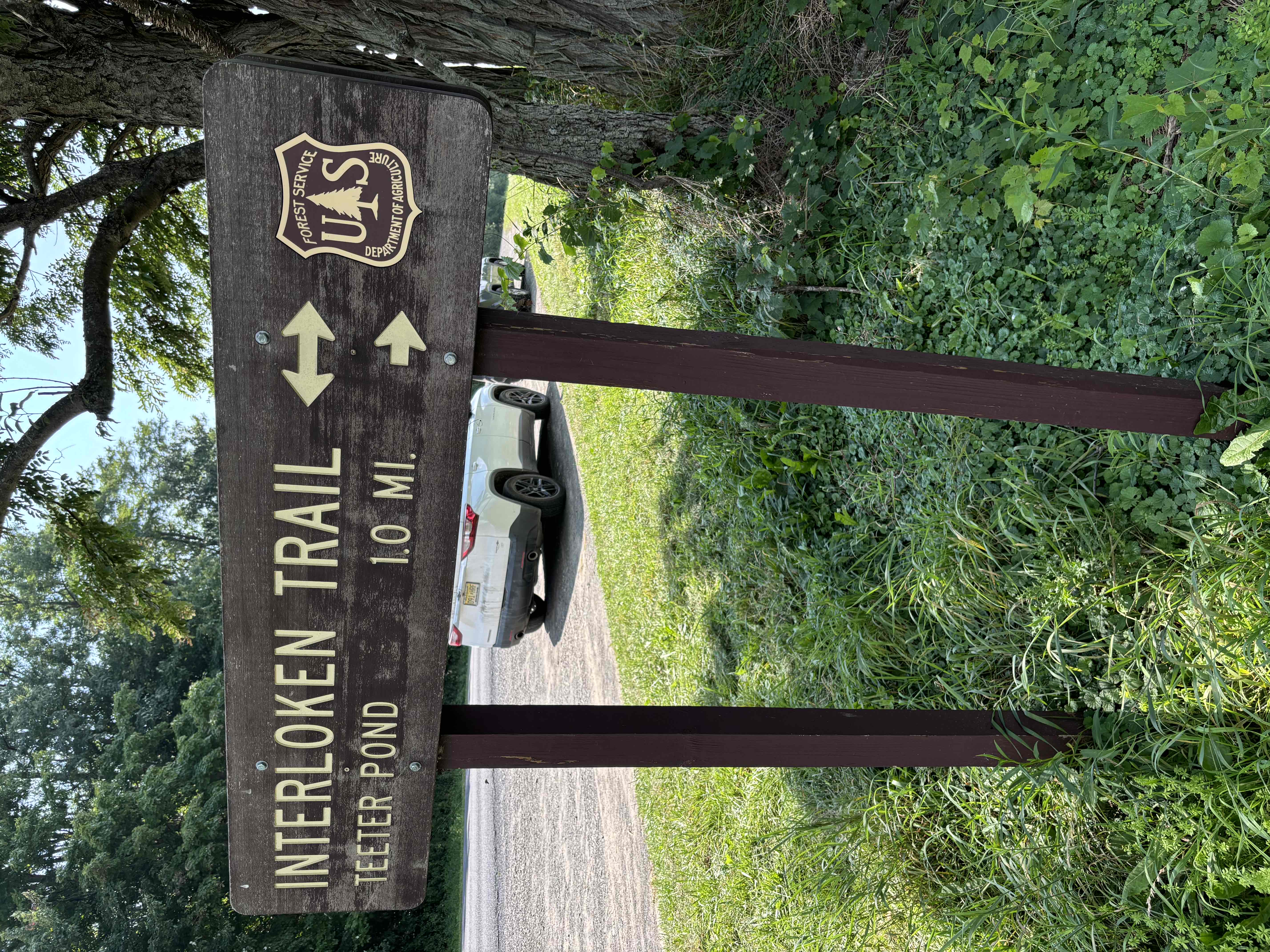 Interloken Trail