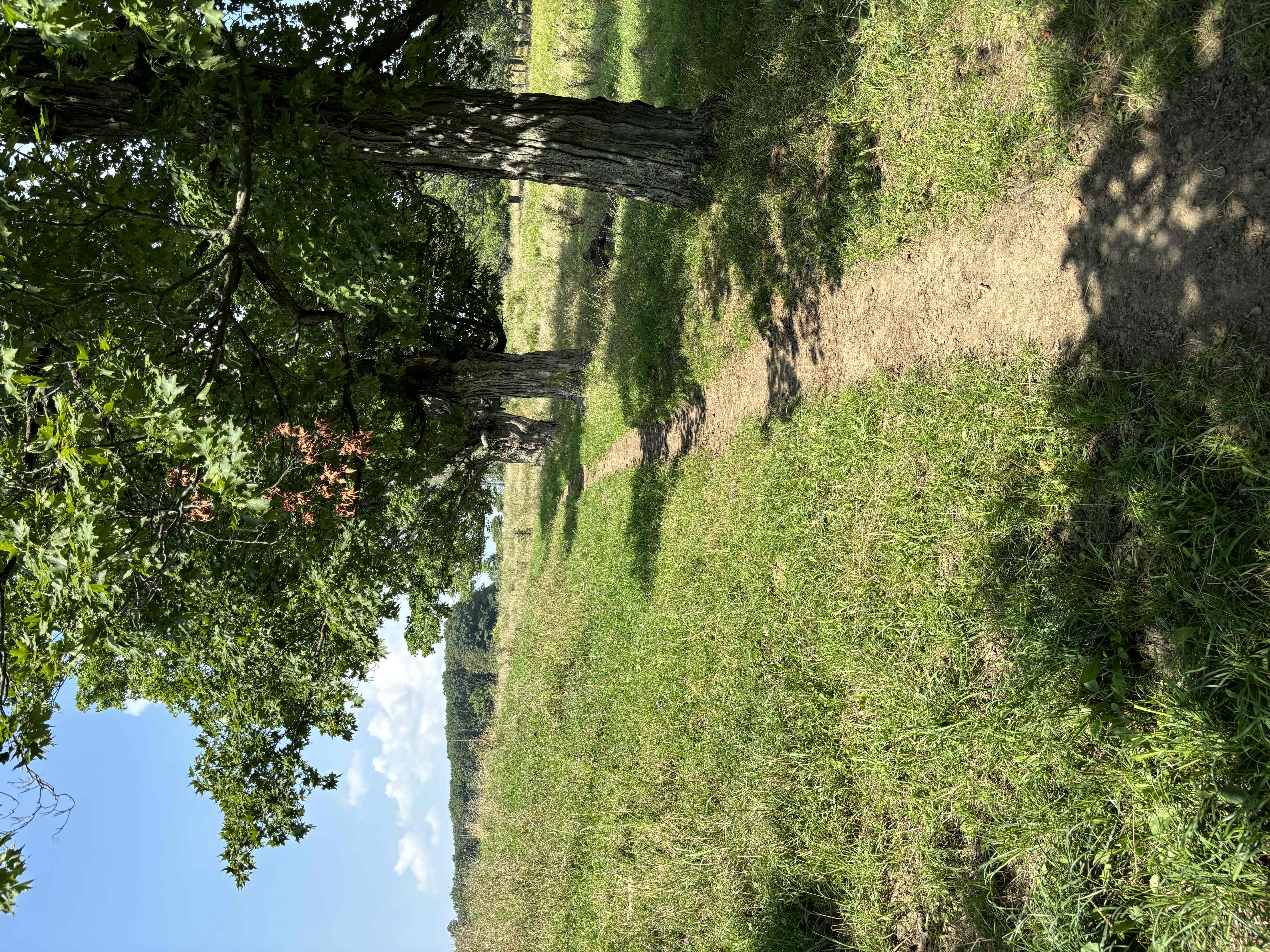 Interloken Trail