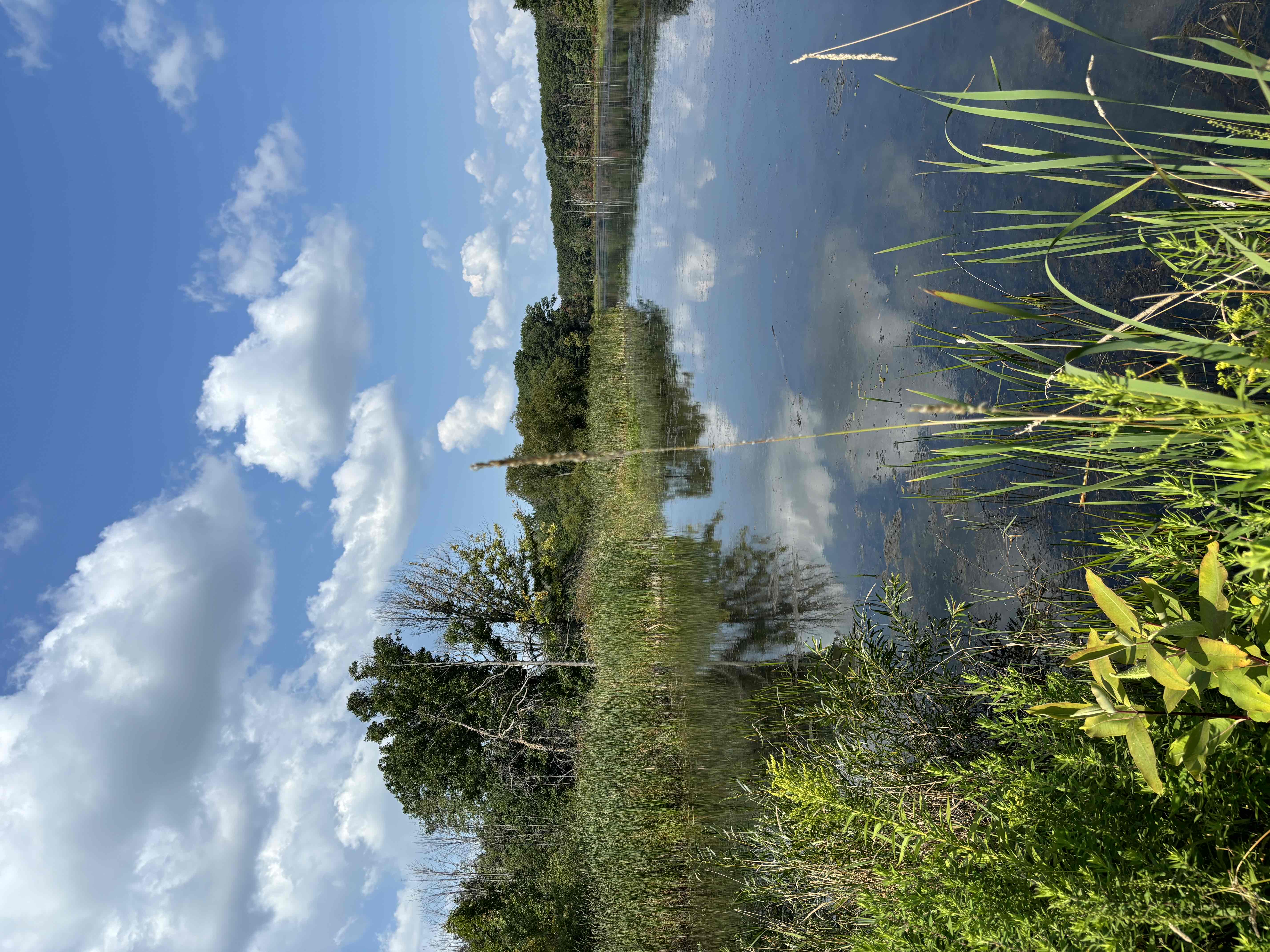 Interloken Trail
