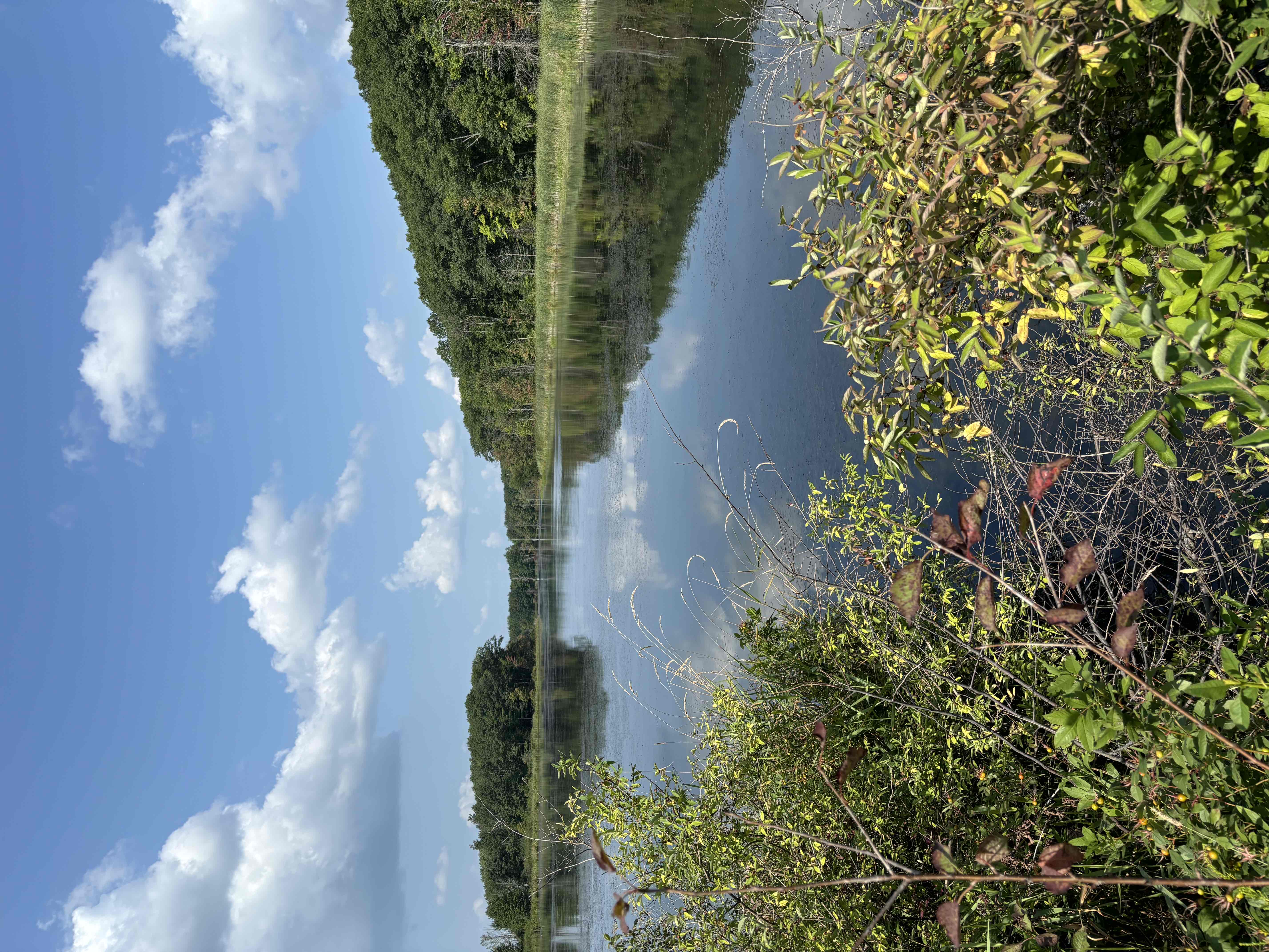 Interloken Trail