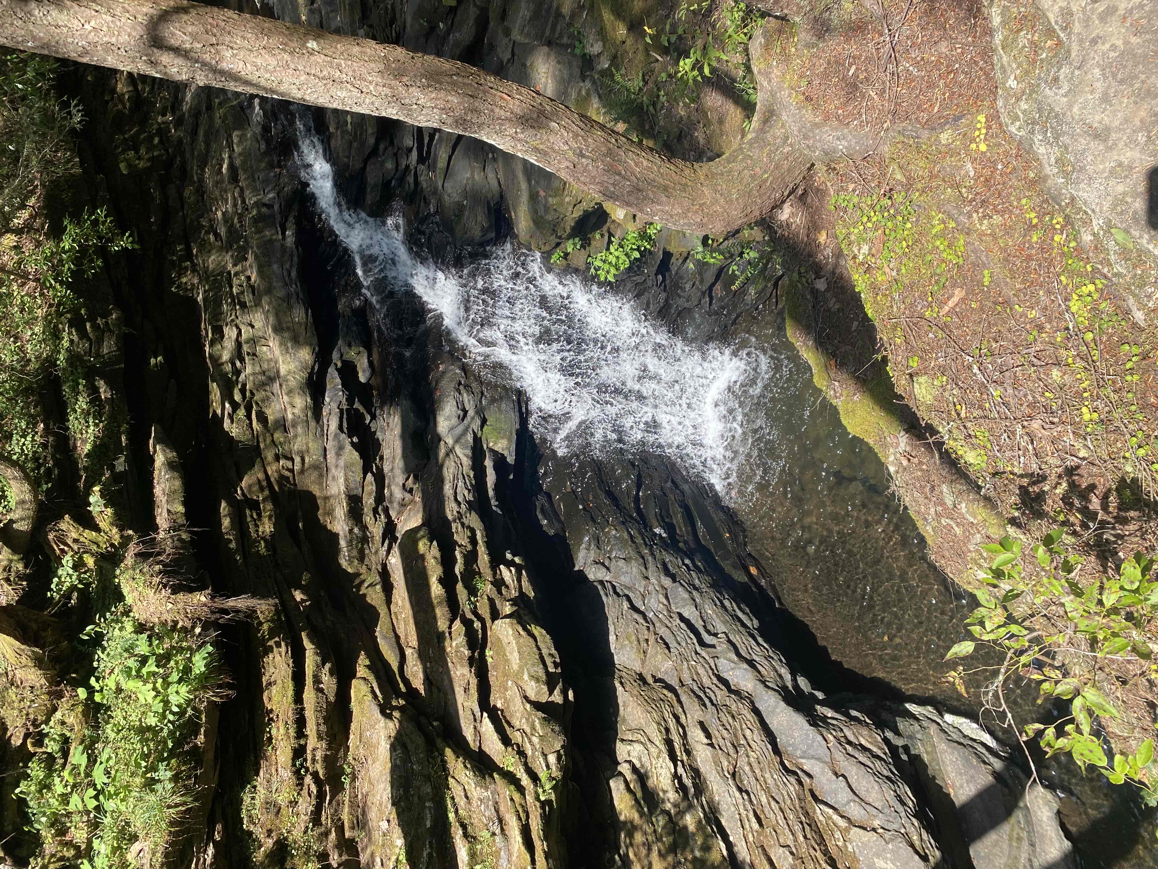 Sycamore Falls
