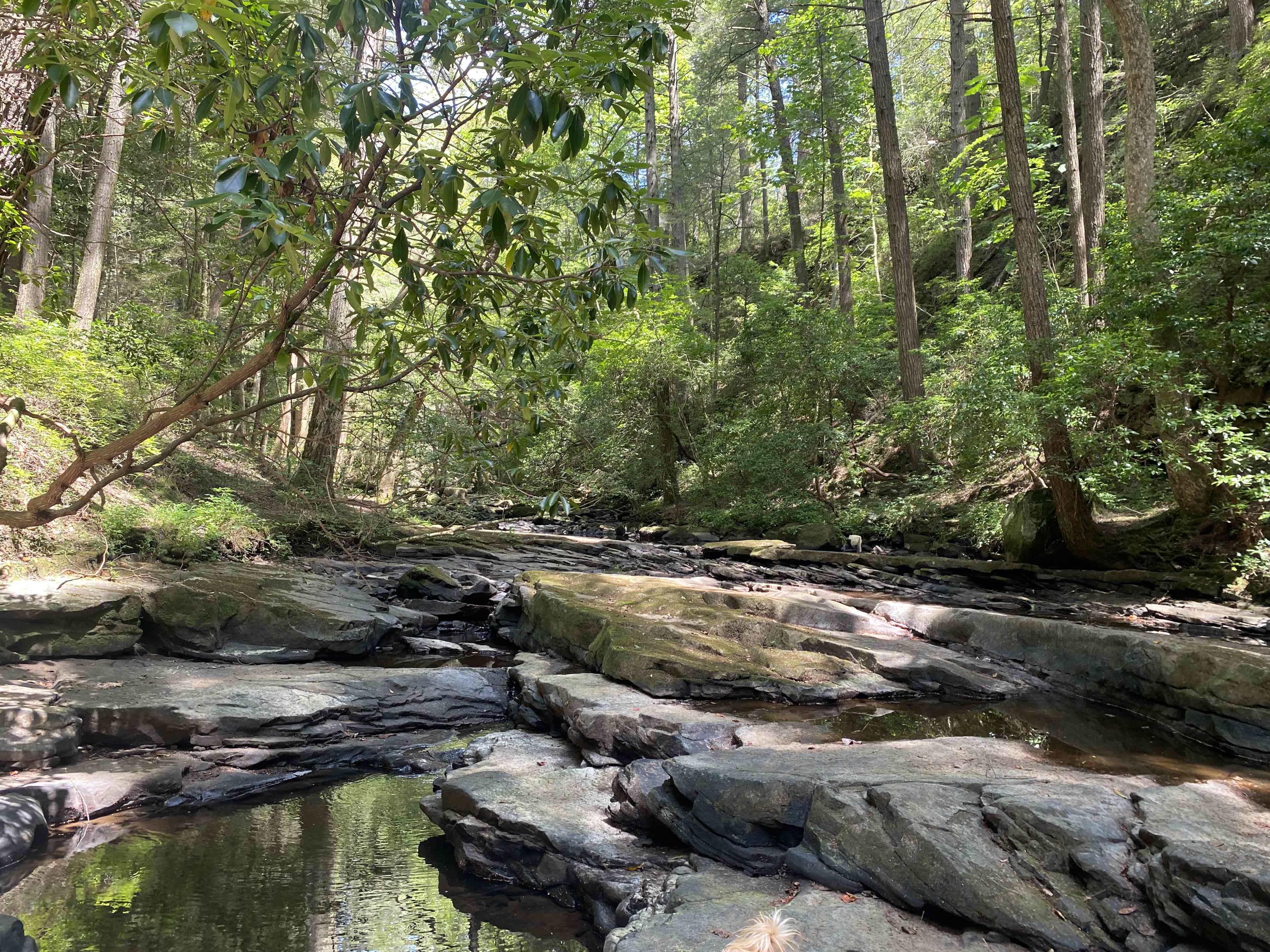 Sycamore Falls