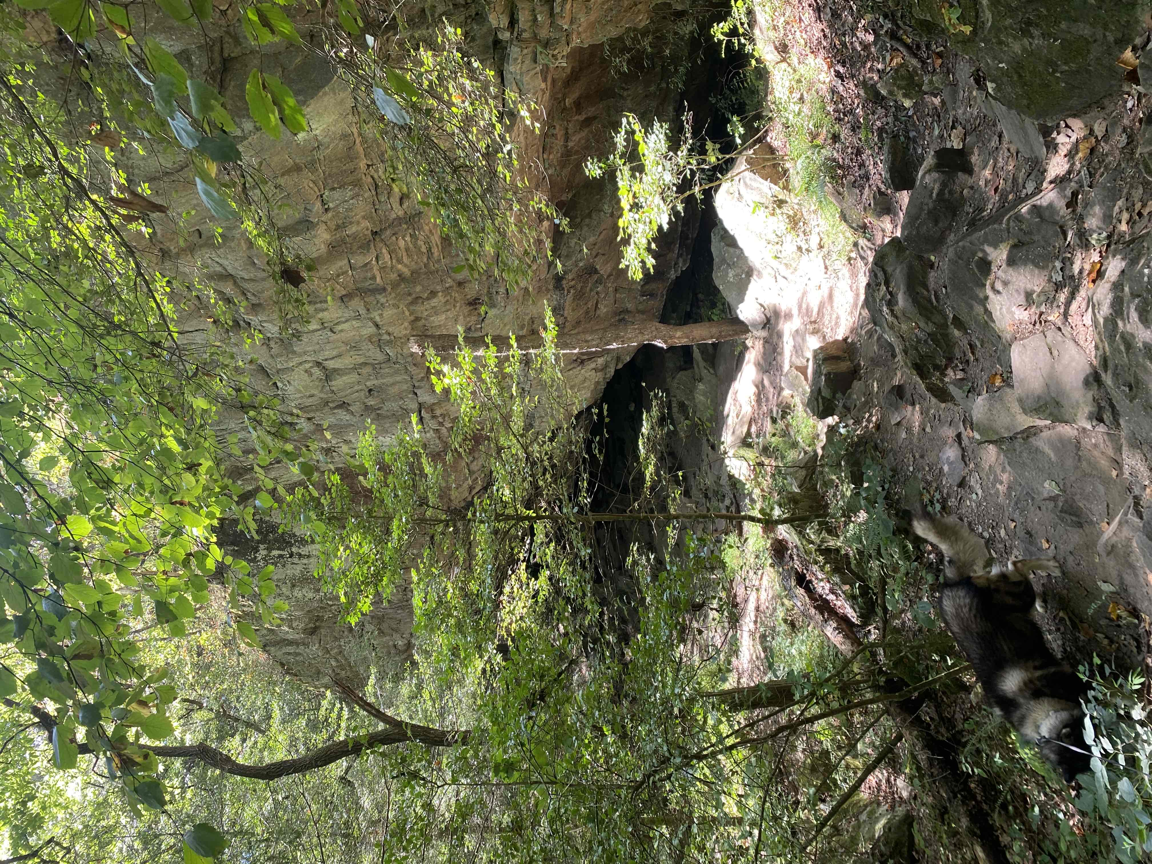 Sycamore Falls