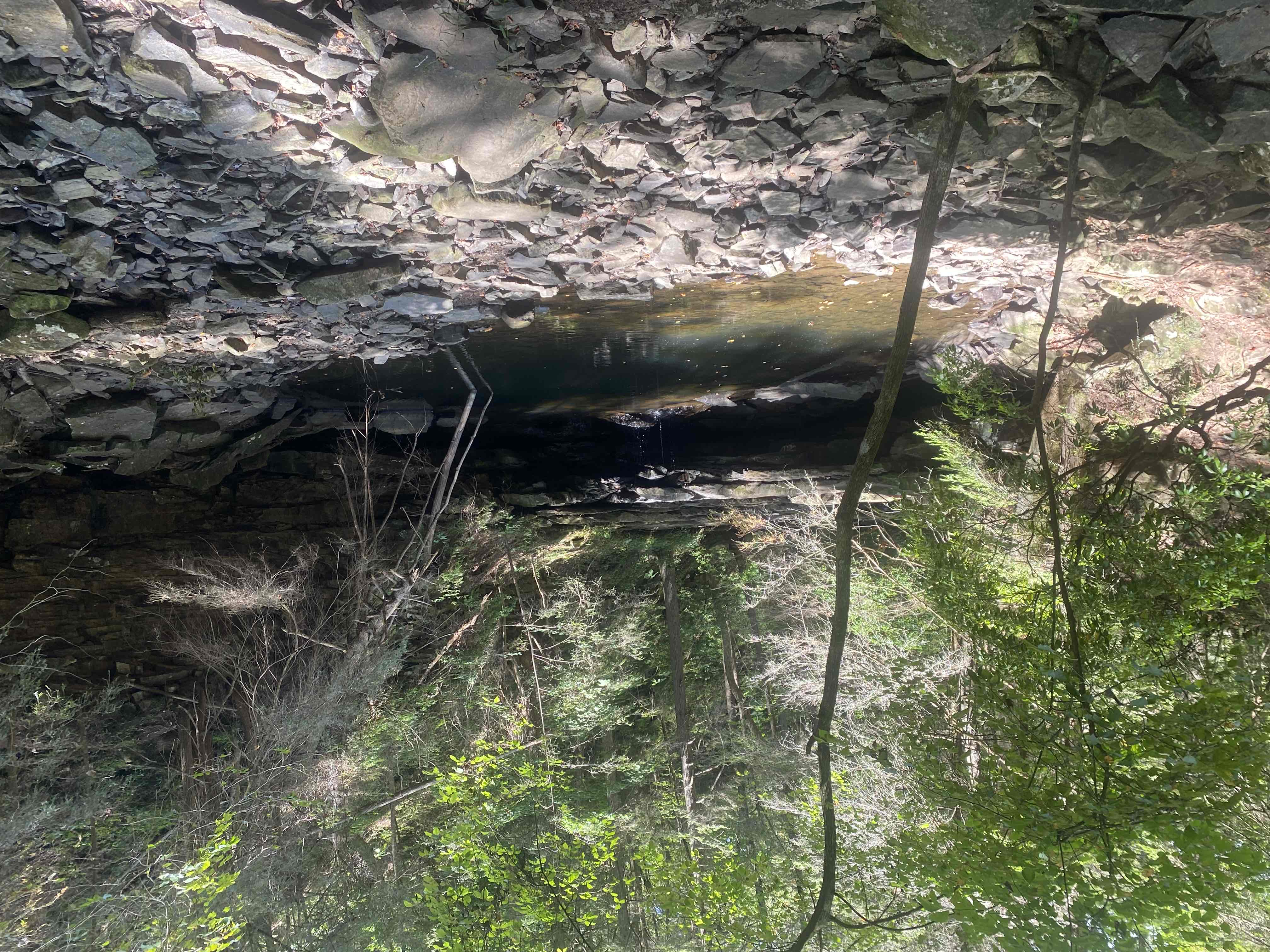 Sycamore Falls