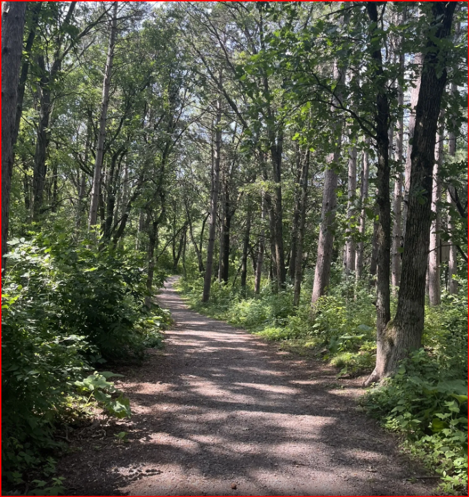 Katherine Abbott Park Loop