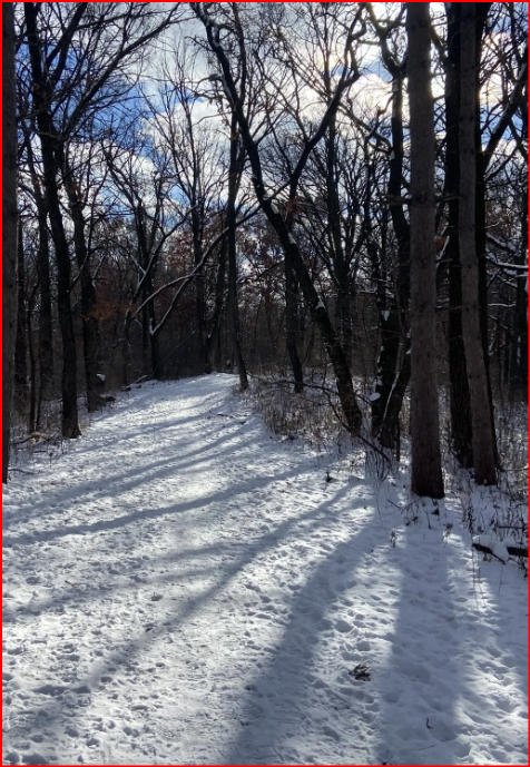 Katherine Abbott Park Loop