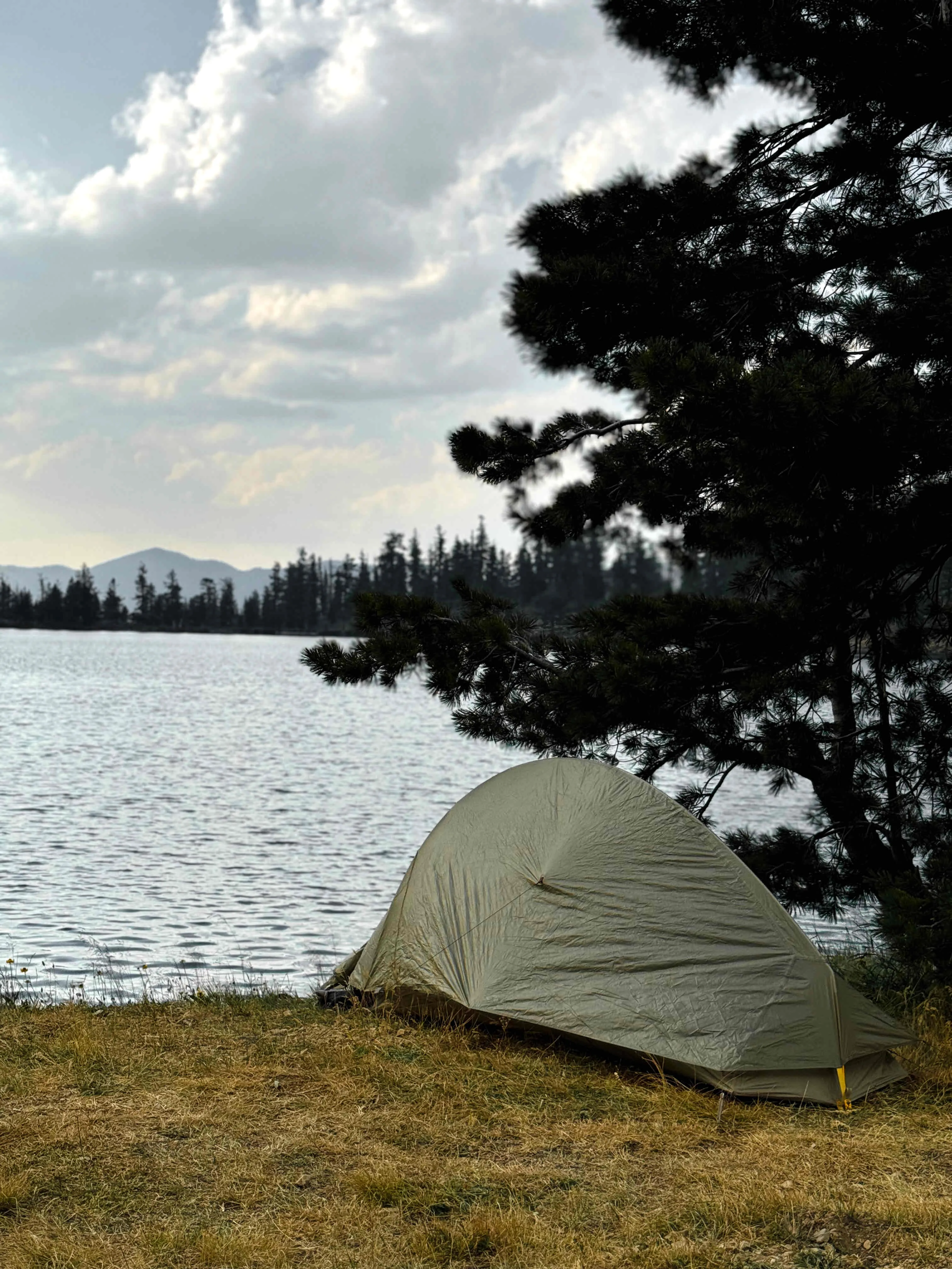 Dead Falls Lake Trail