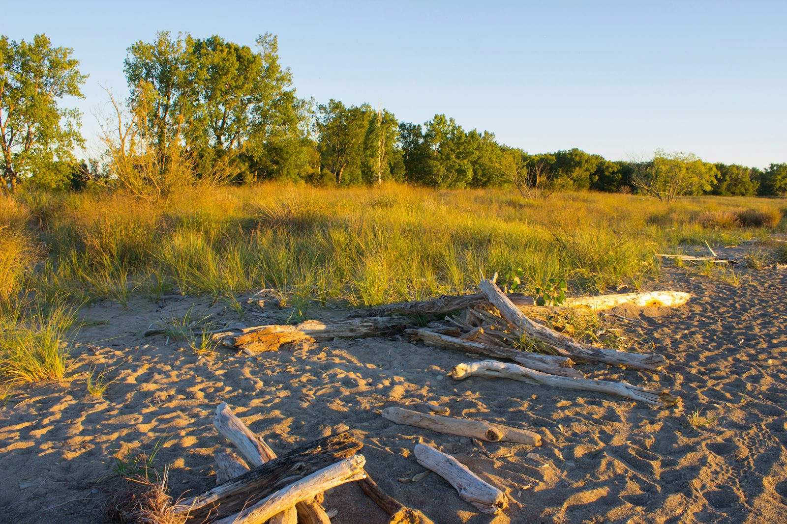 Hike the Headland Dunes