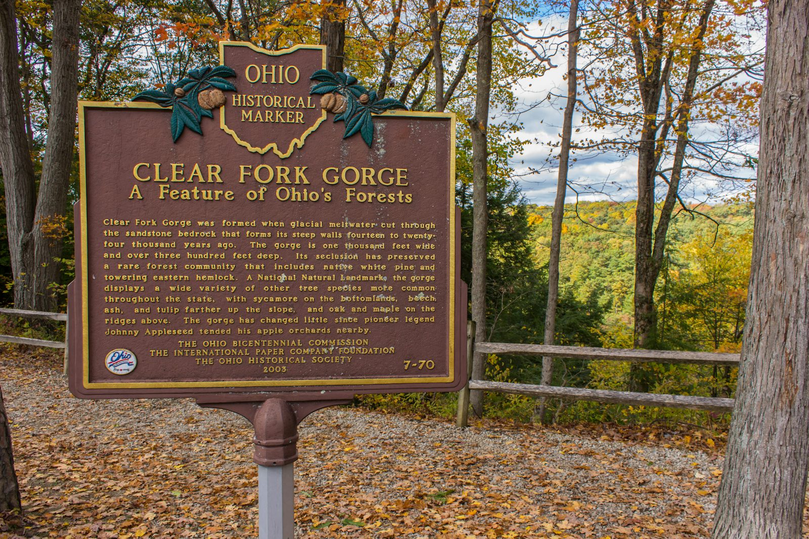 Clear Fork Gorge