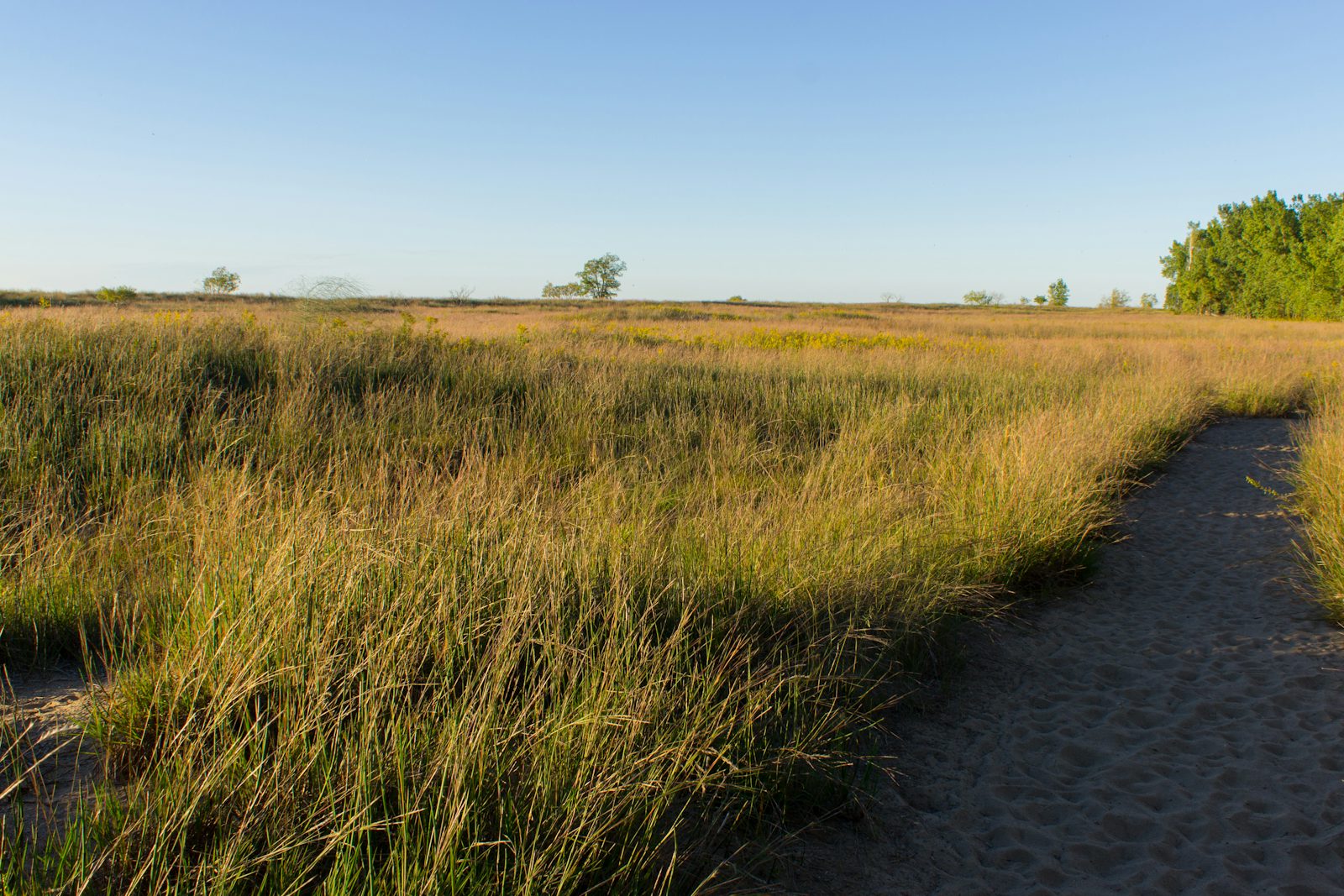 Hike the Headland Dunes