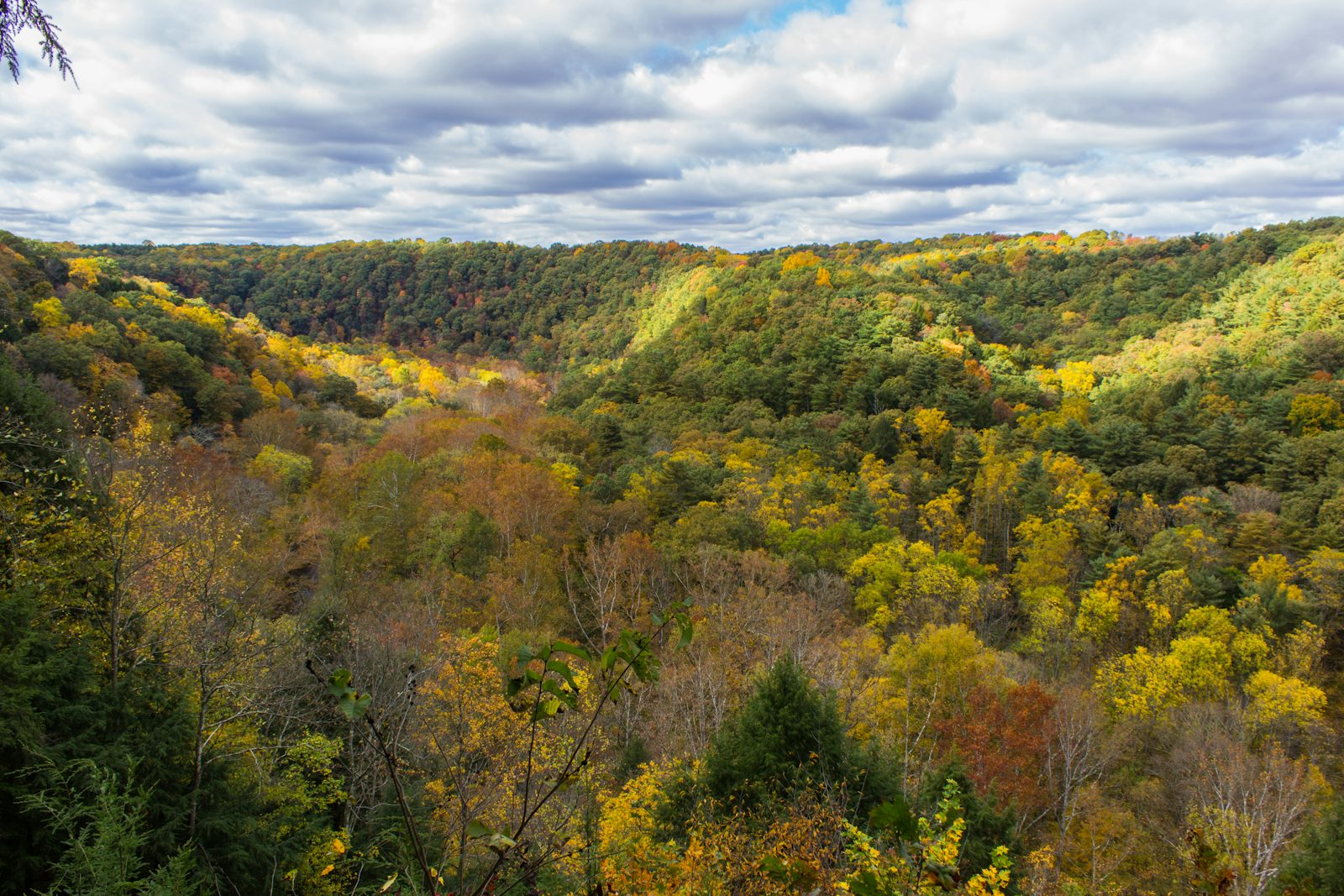 Clear Fork Gorge