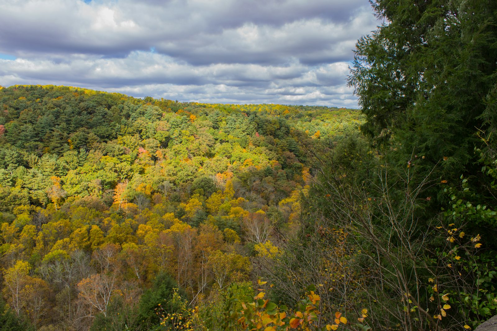 Clear Fork Gorge