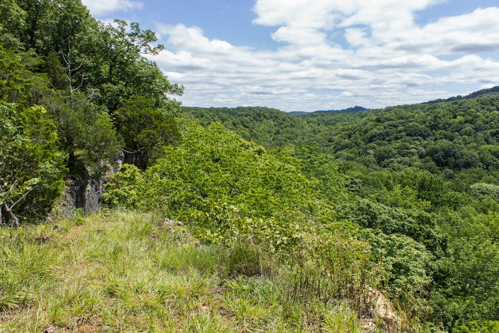 Buzzard Roost Trail