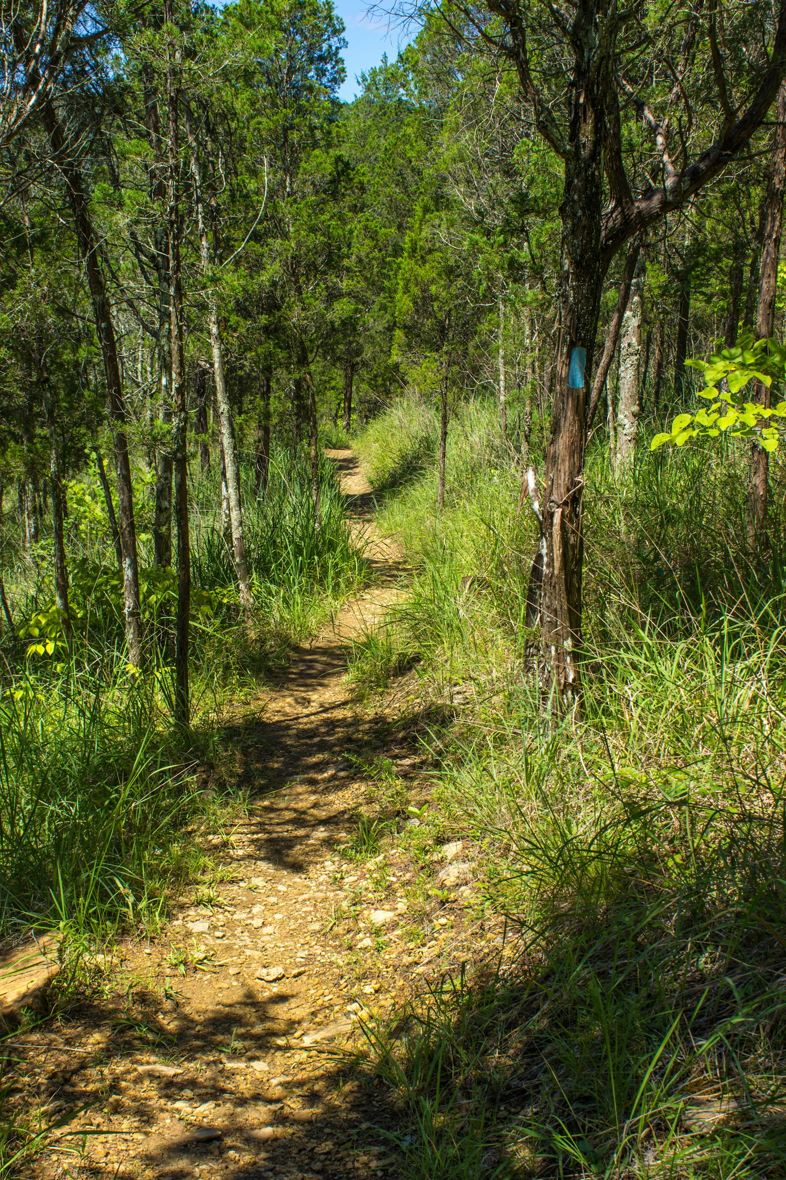 Floods Point Overlook via Joan Jones Portman Trail