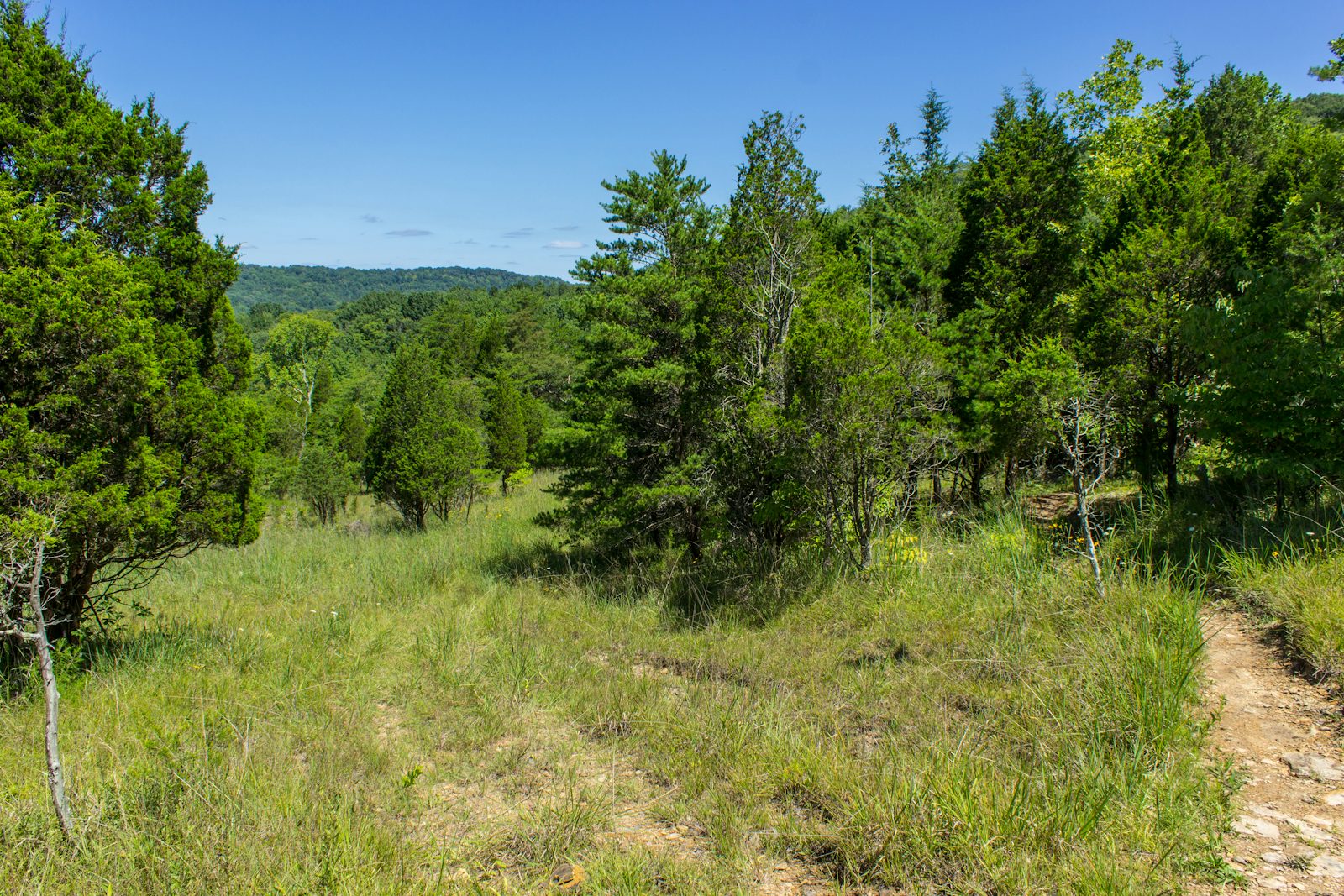 Floods Point Overlook via Joan Jones Portman Trail