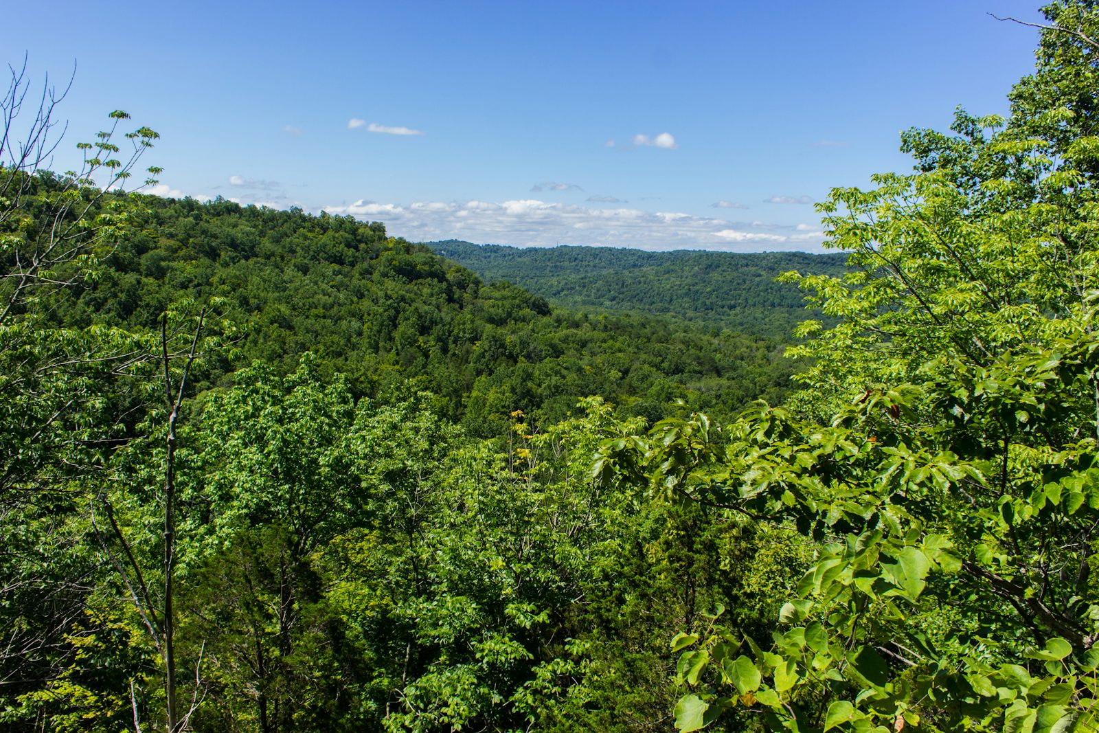 Floods Point Overlook via Joan Jones Portman Trail