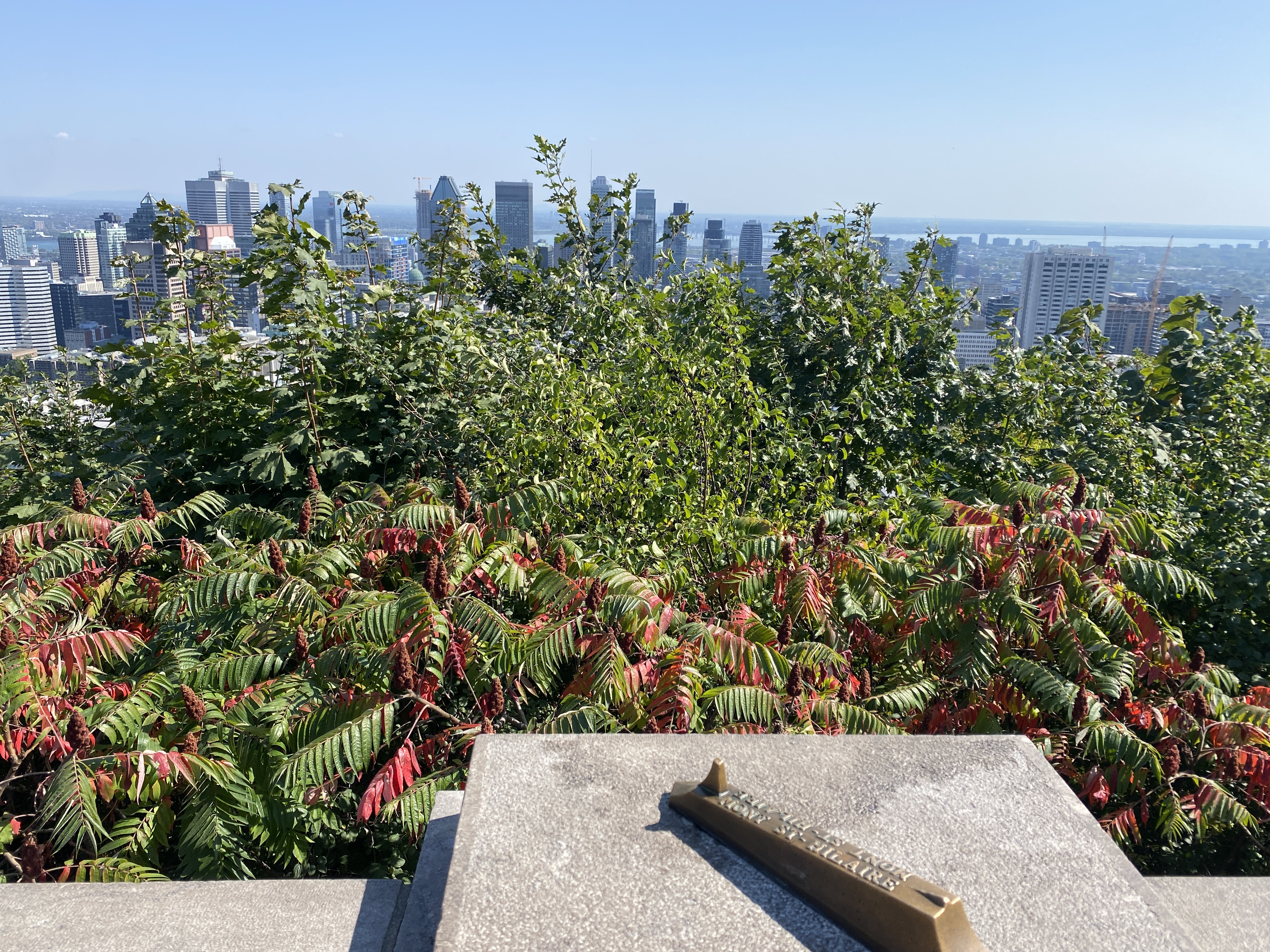 Mount Royal