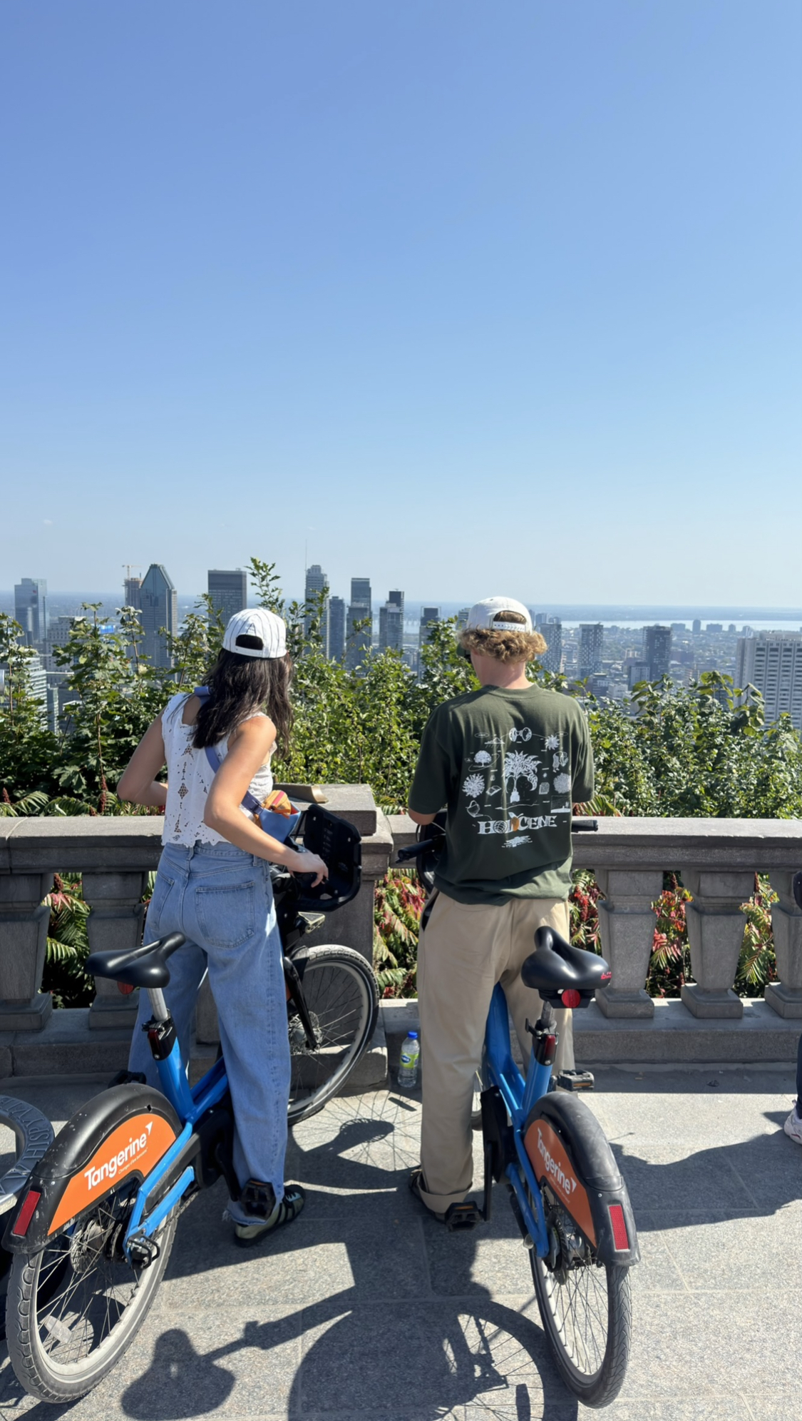 Mount Royal