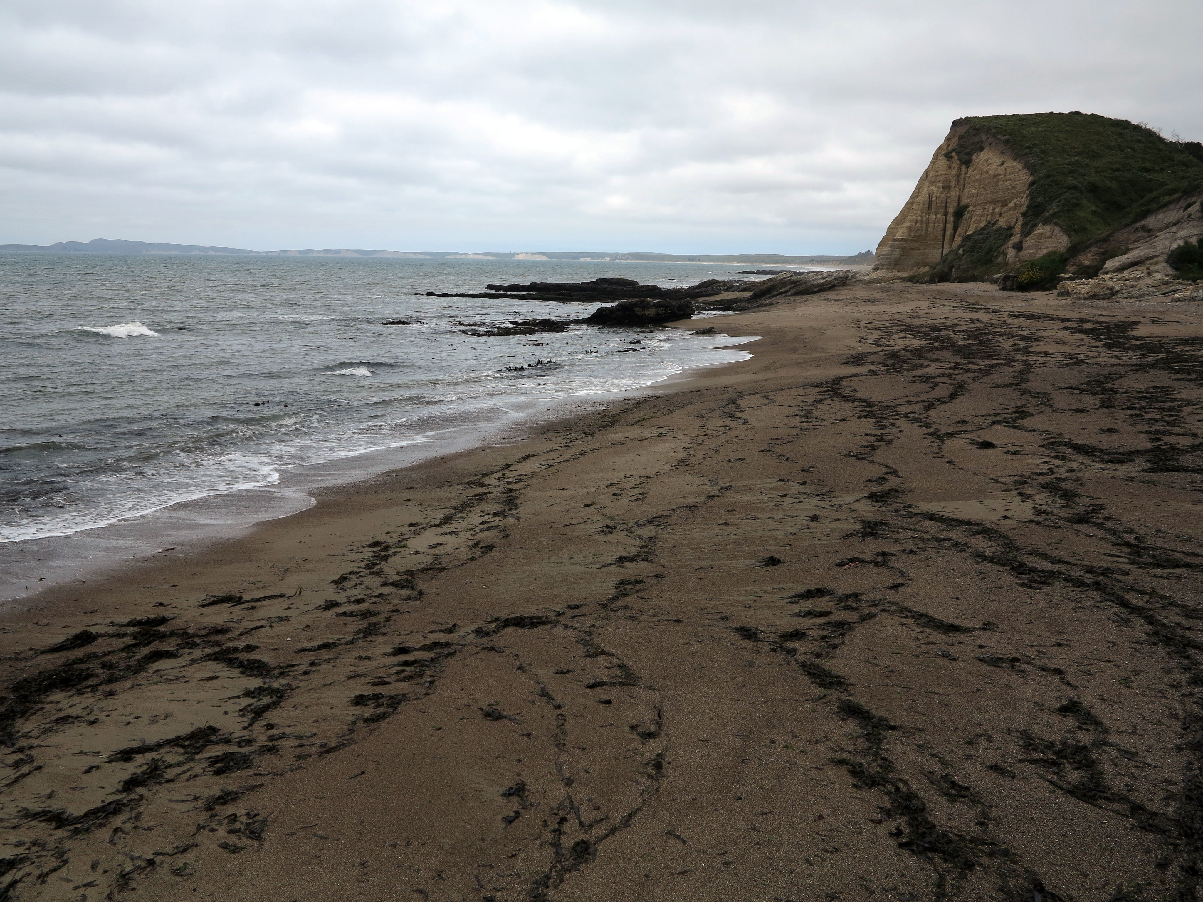 Sculptured Beach from Limantour