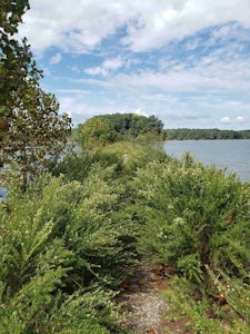 Honker Lake Trail