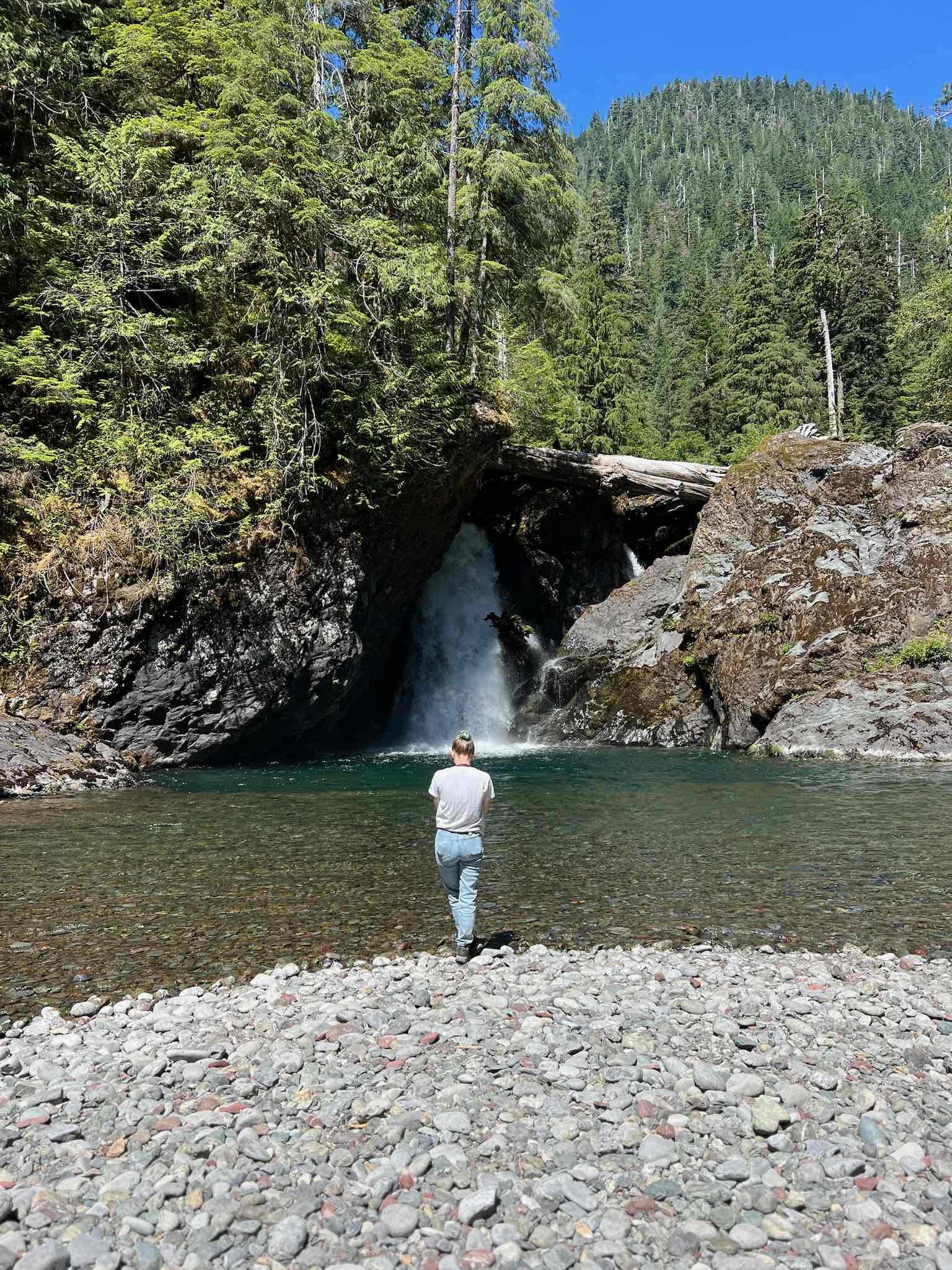 Wynoochee Falls