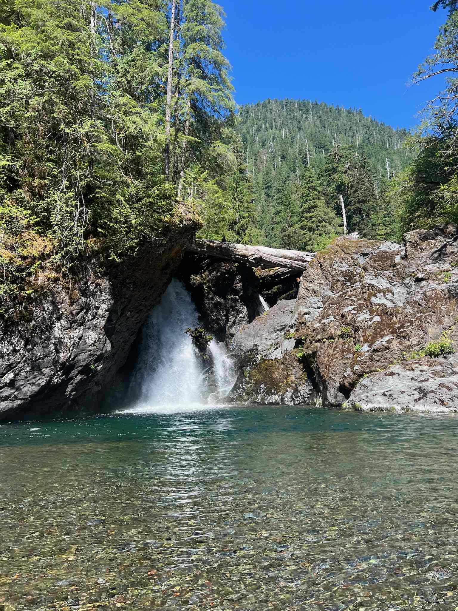 Wynoochee Falls