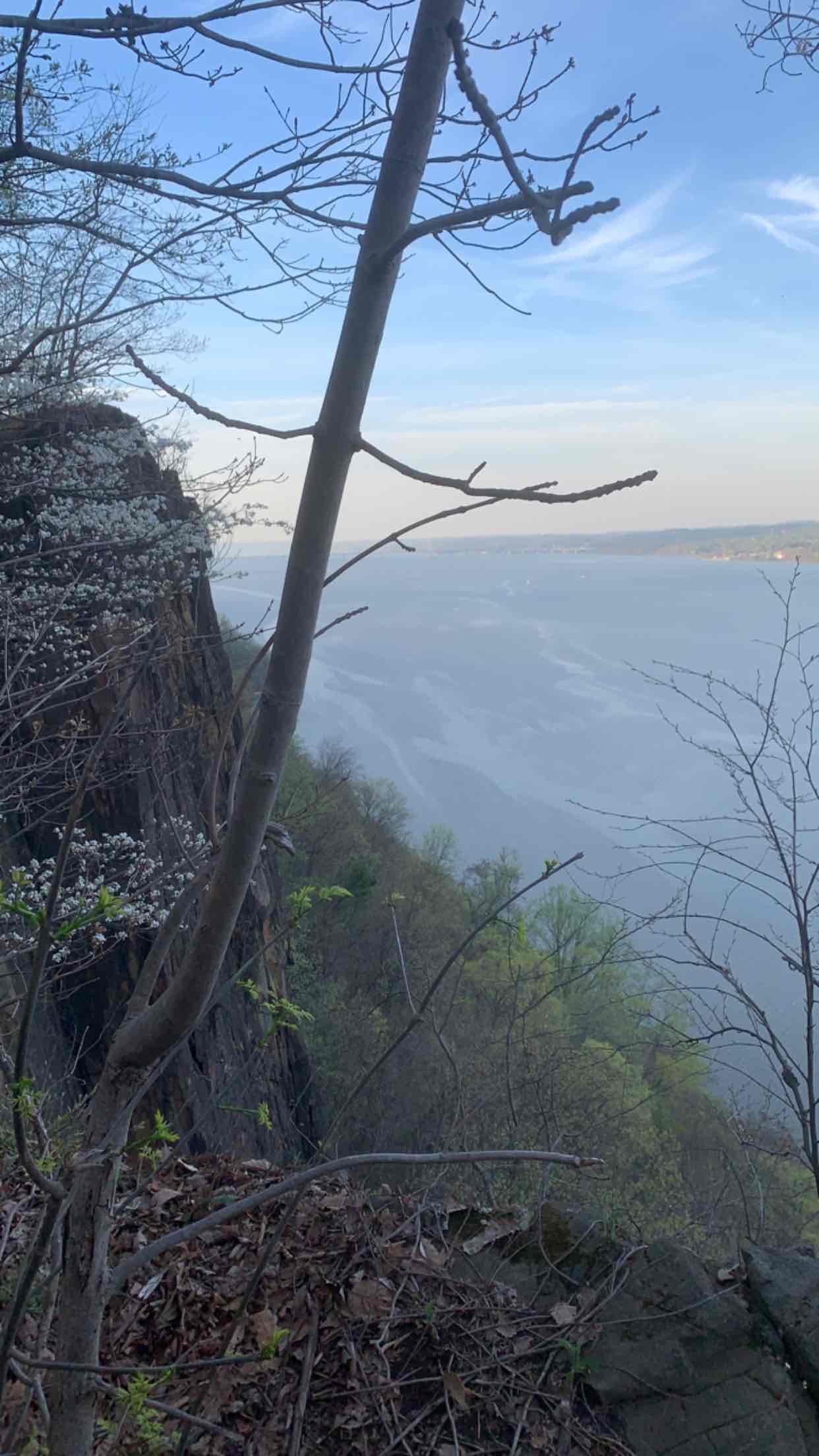 Alpine White Trail (Stateline Lookout)
