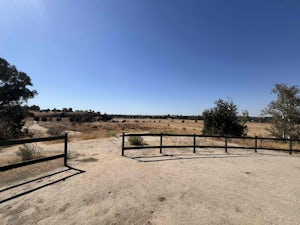 Tom Macmichael Senior Trail