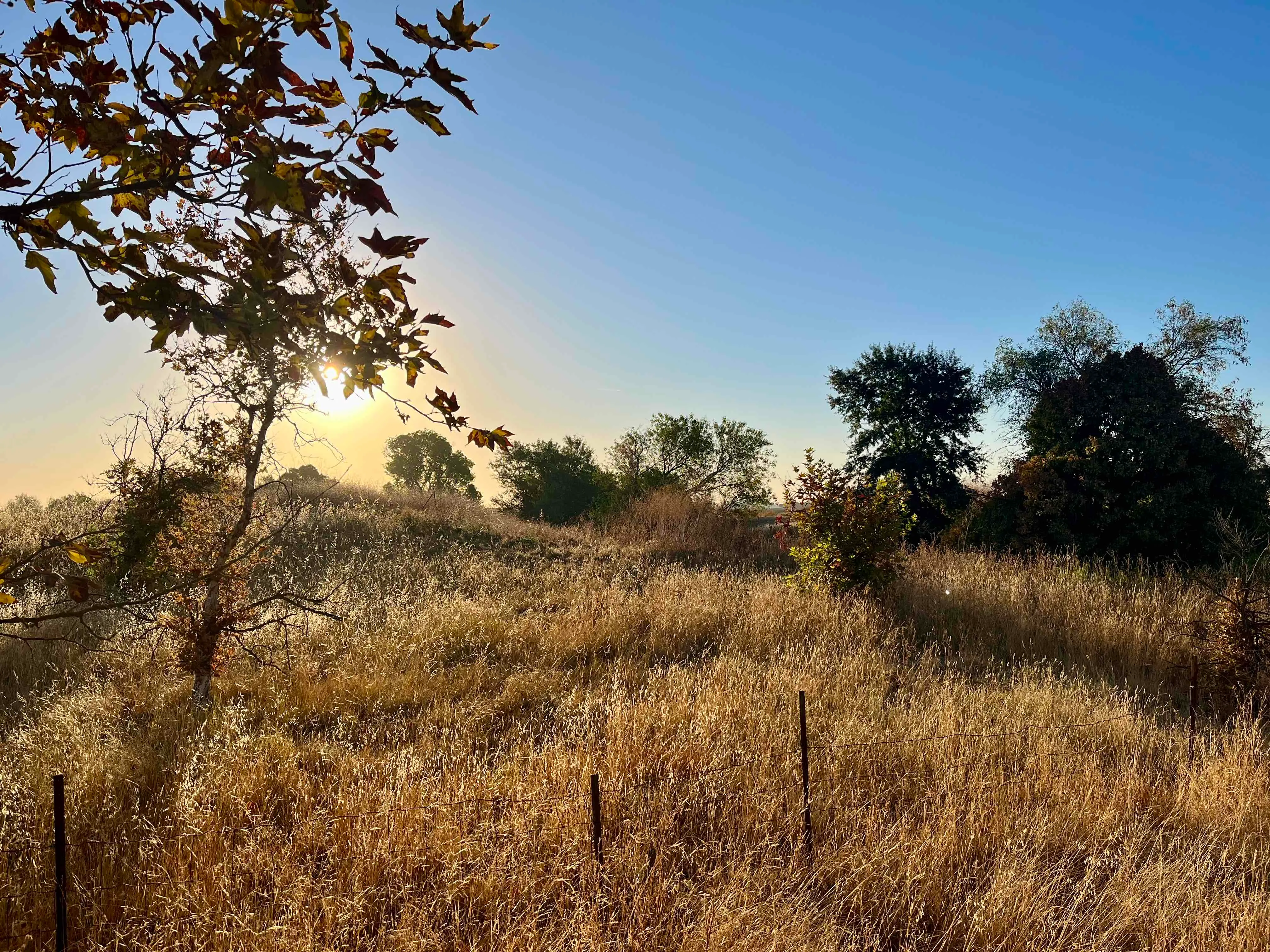 Wildhorse Loop