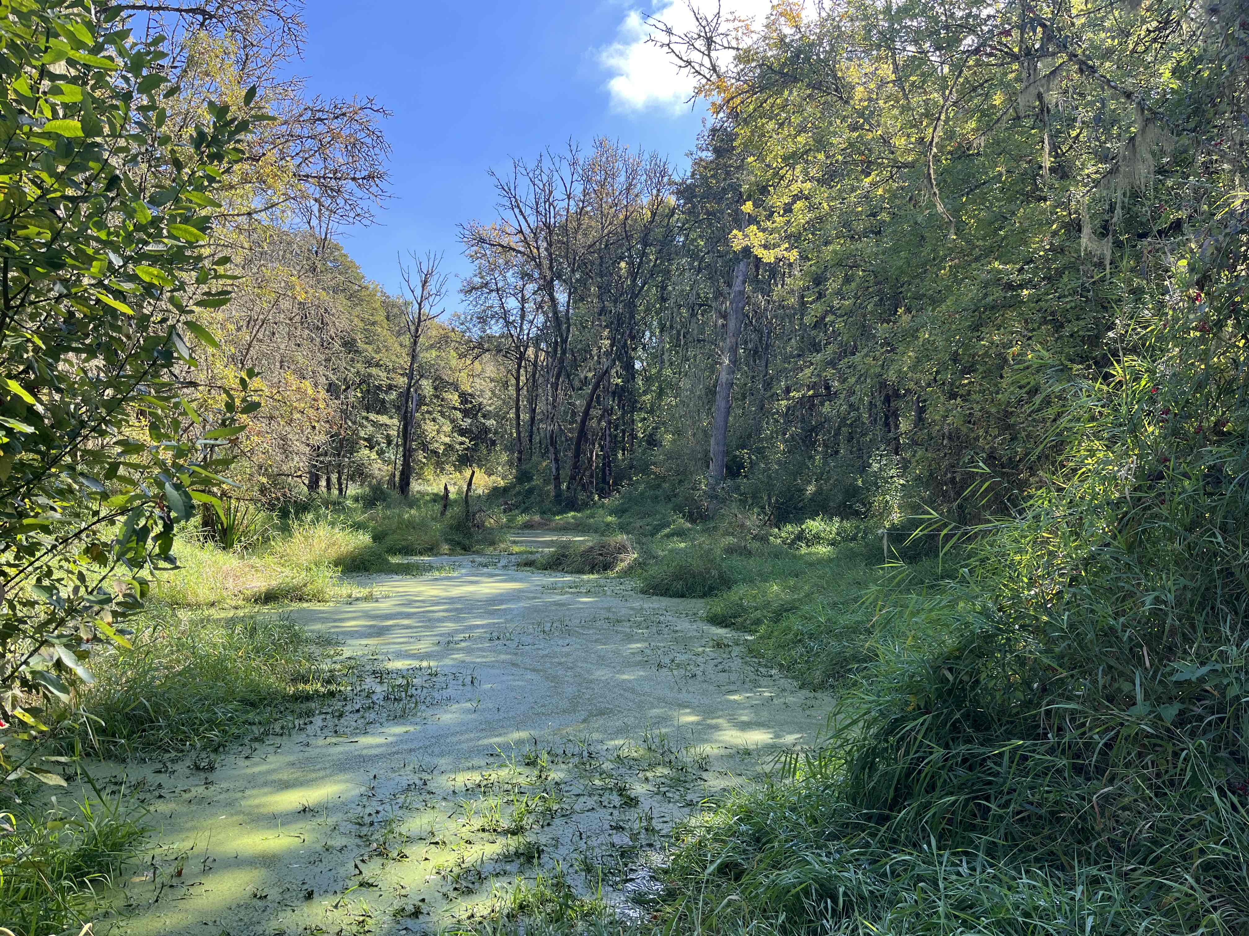 Oak Creek Greenbelt Trail