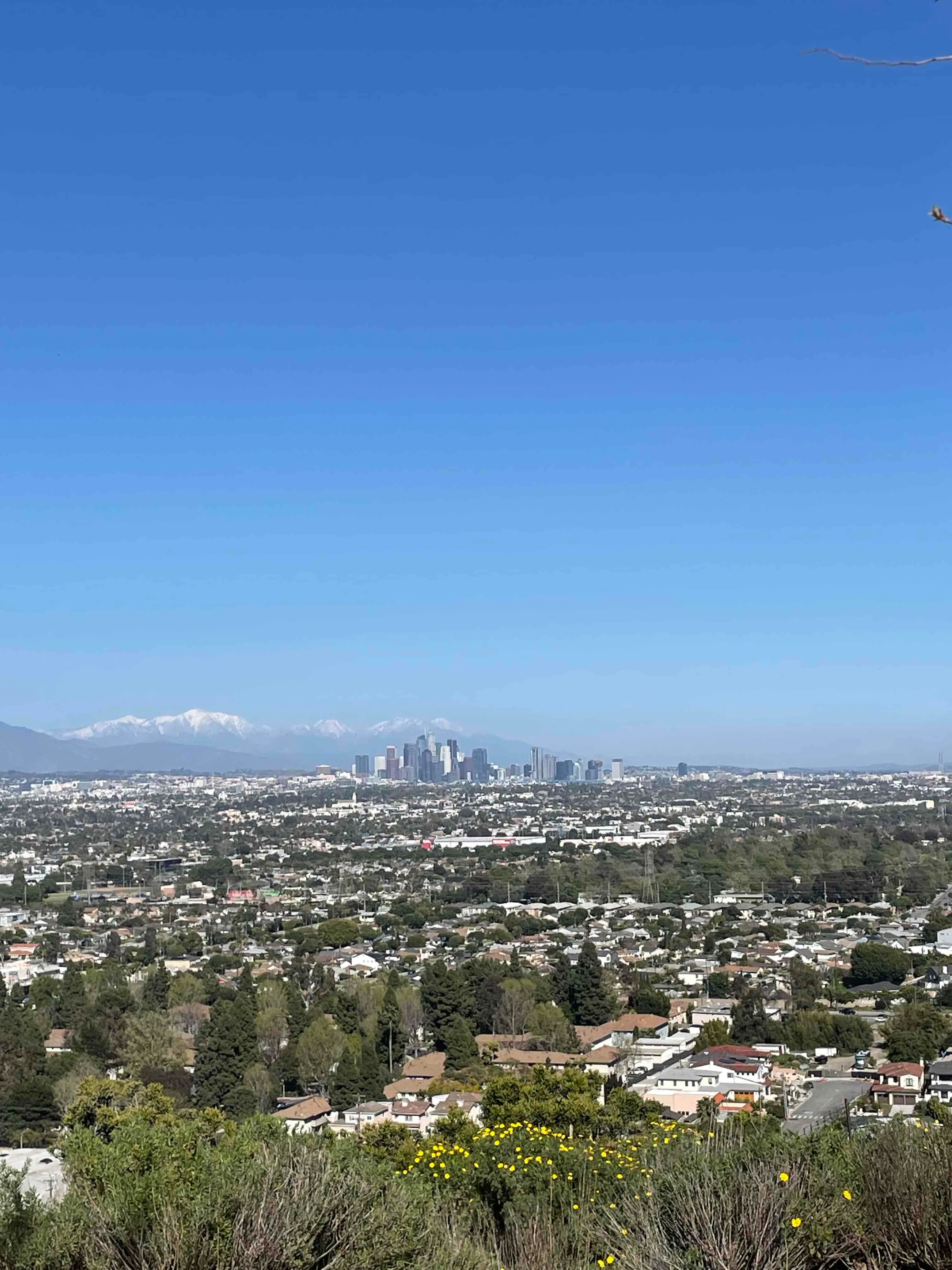 Culver City Stairs