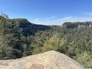 Rough Trail to Hanson's Point