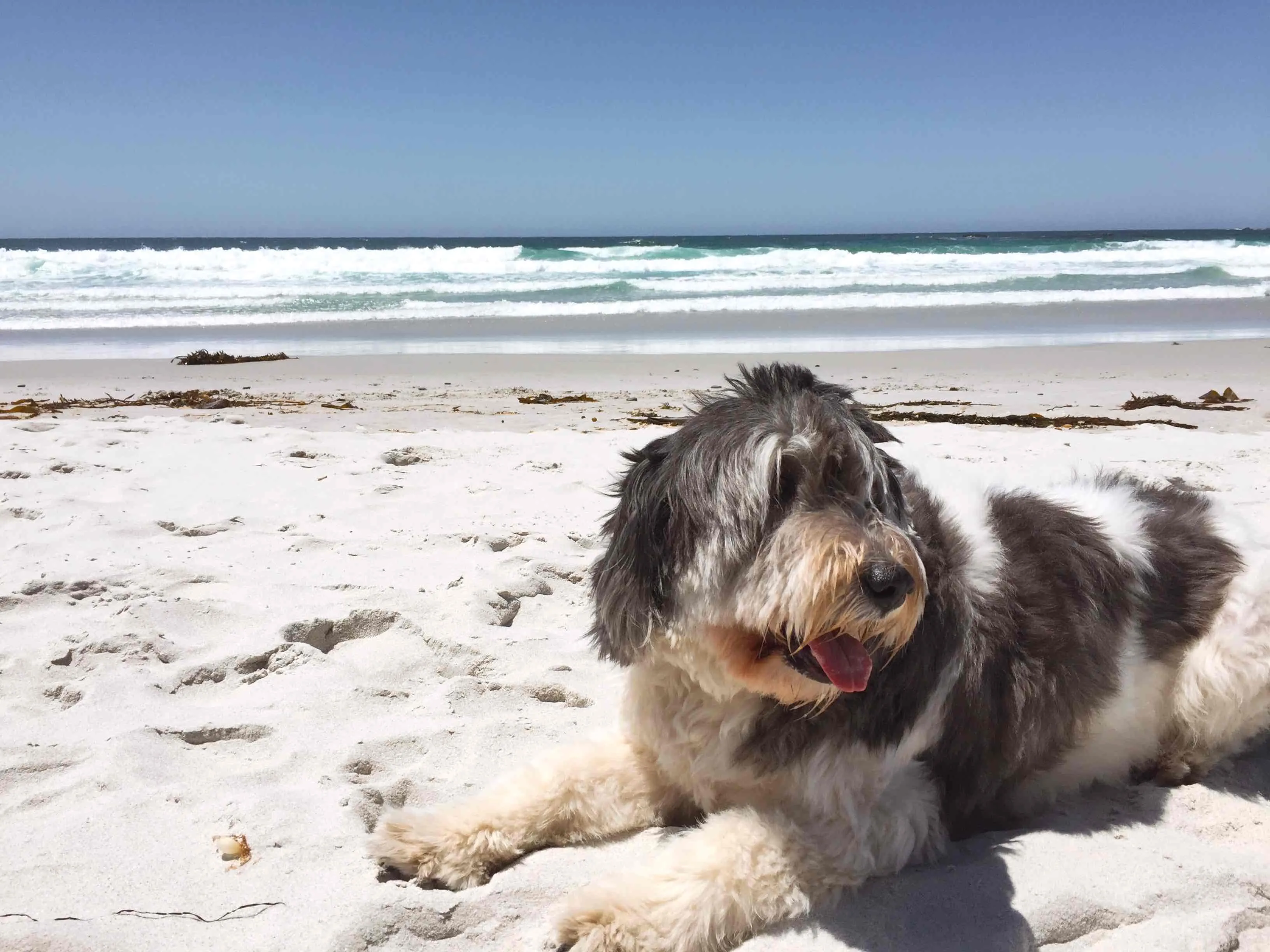 Carmel Beach 