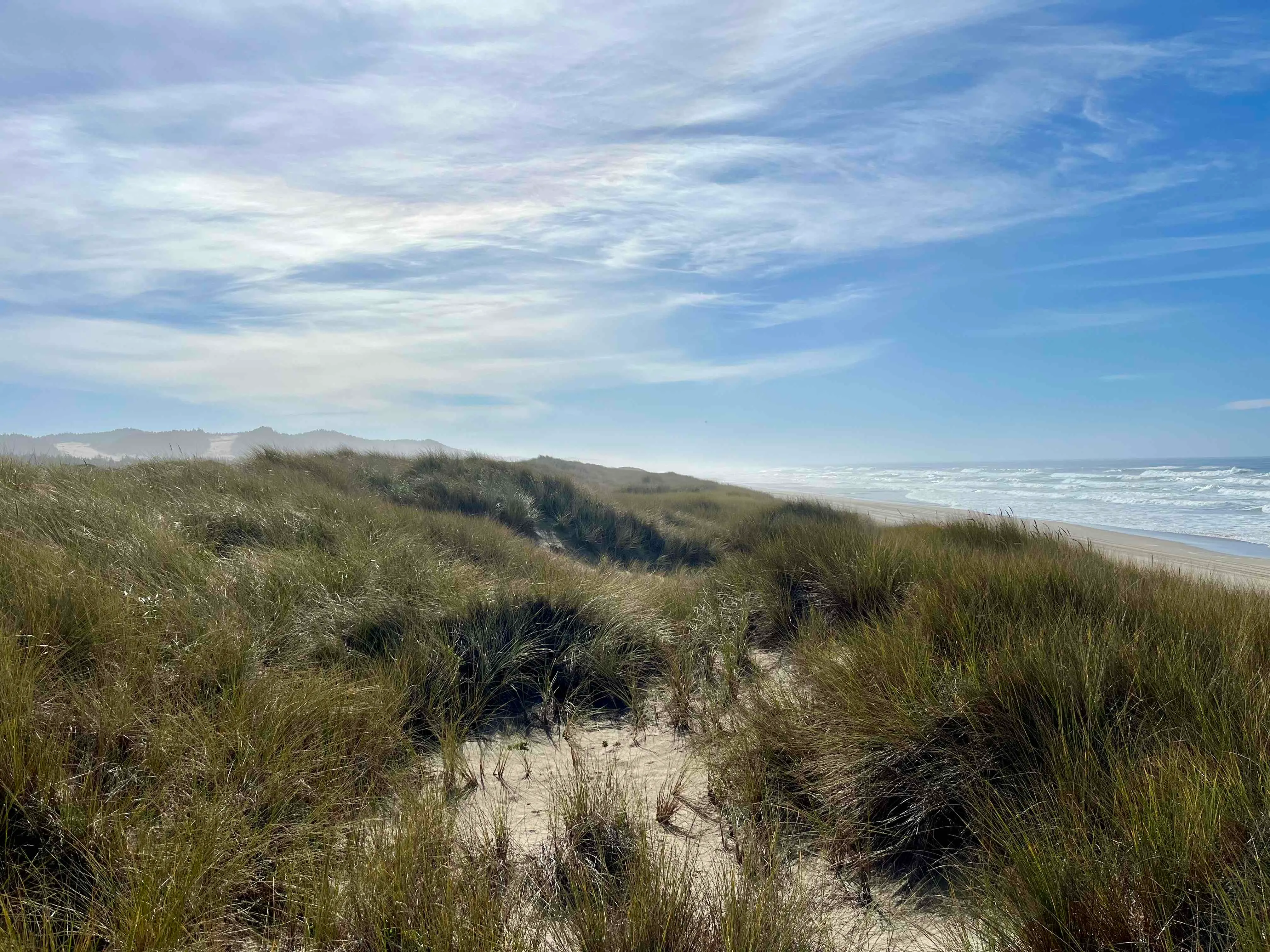 Oregon Dunes Loop