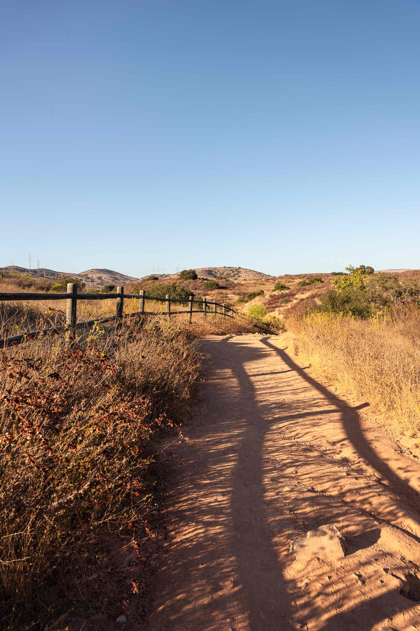 Oak Canyon in Mission Trails Regional Park