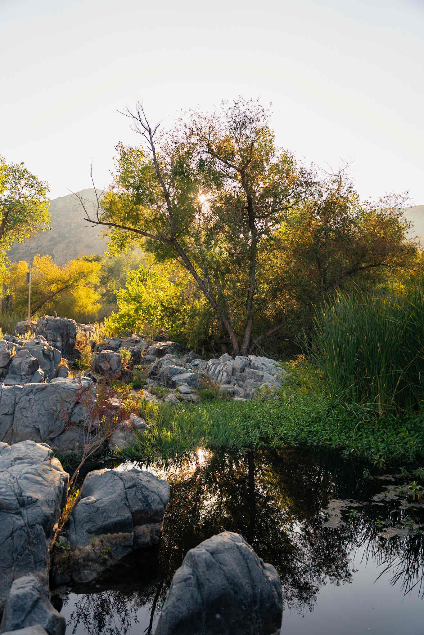 Oak Canyon in Mission Trails Regional Park