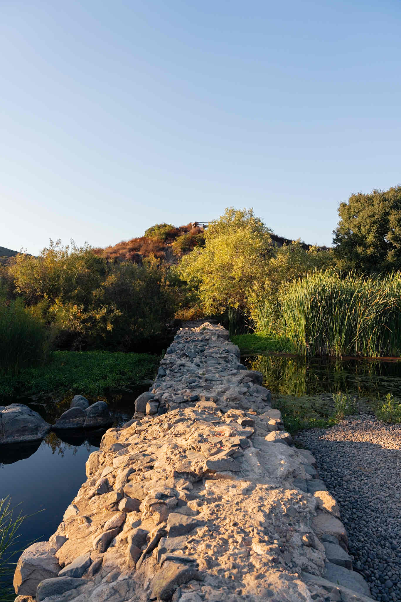 Oak Canyon in Mission Trails Regional Park