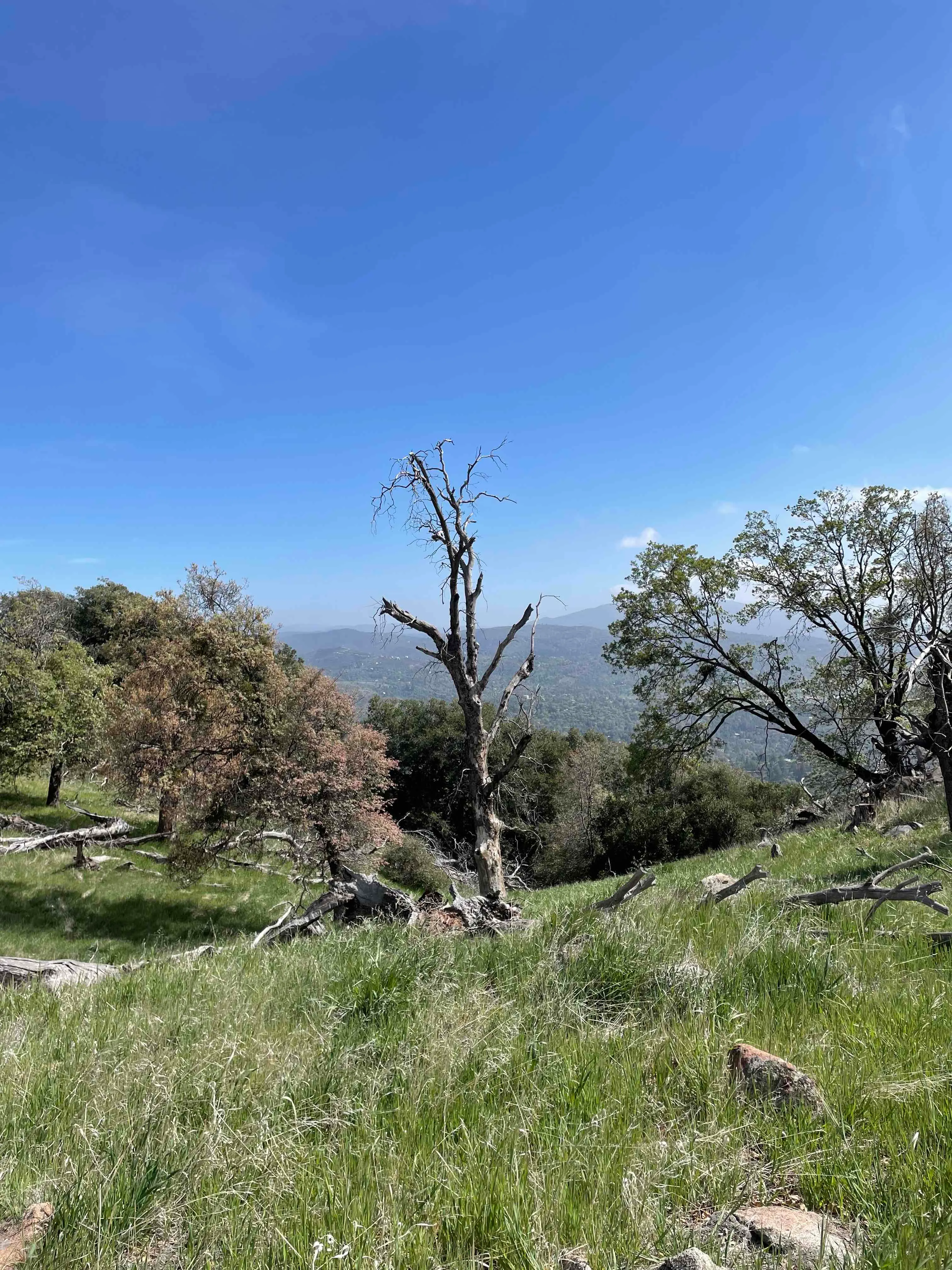 Volcan Mountain Trail