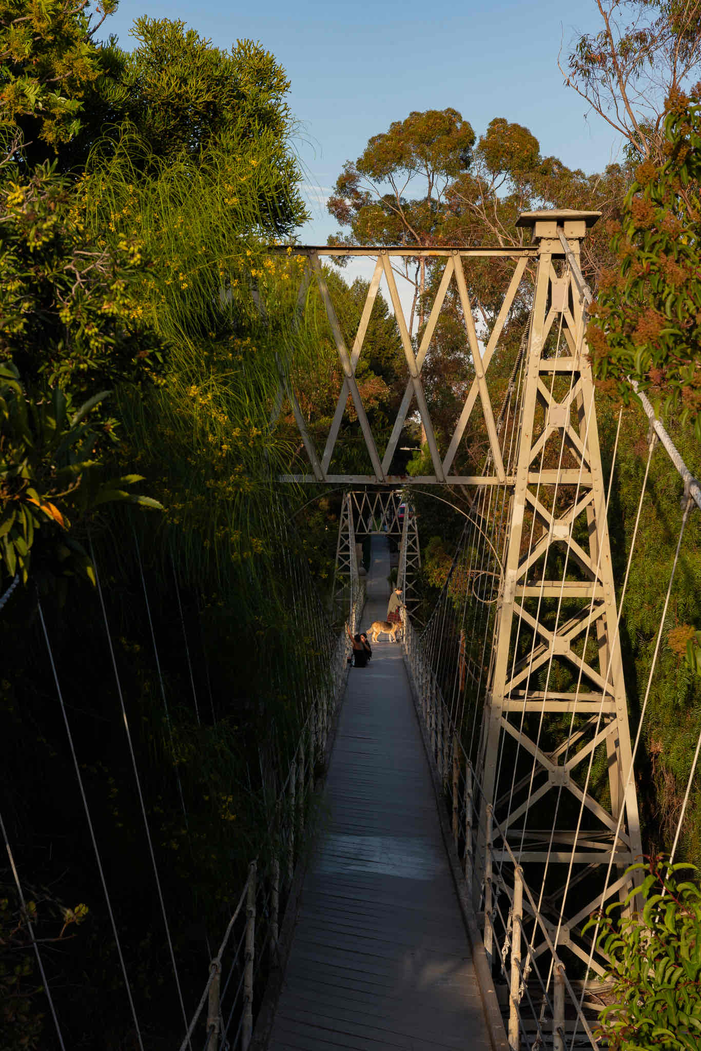 Spruce Street Suspension Bridge 