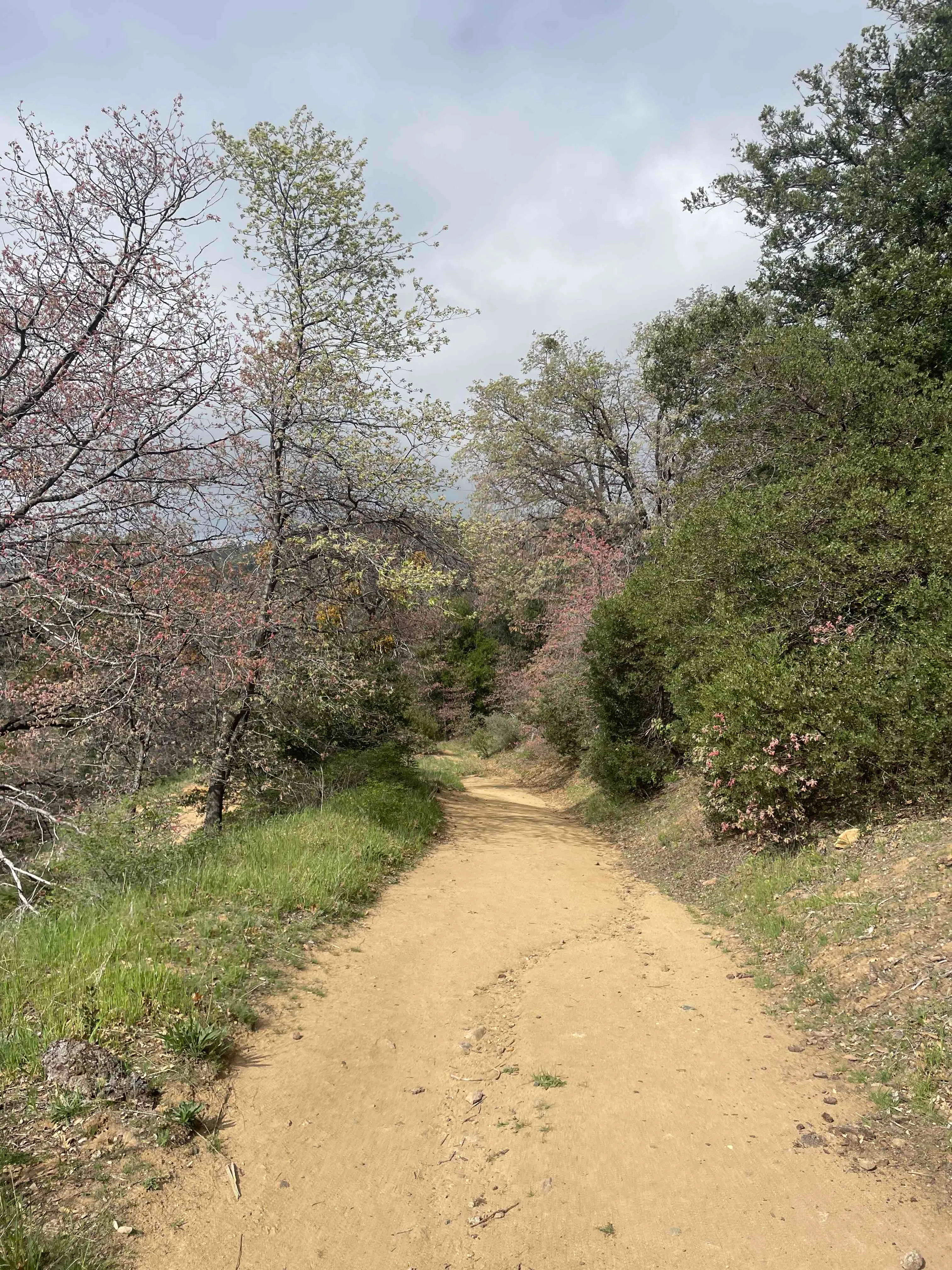 Volcan Mountain Trail