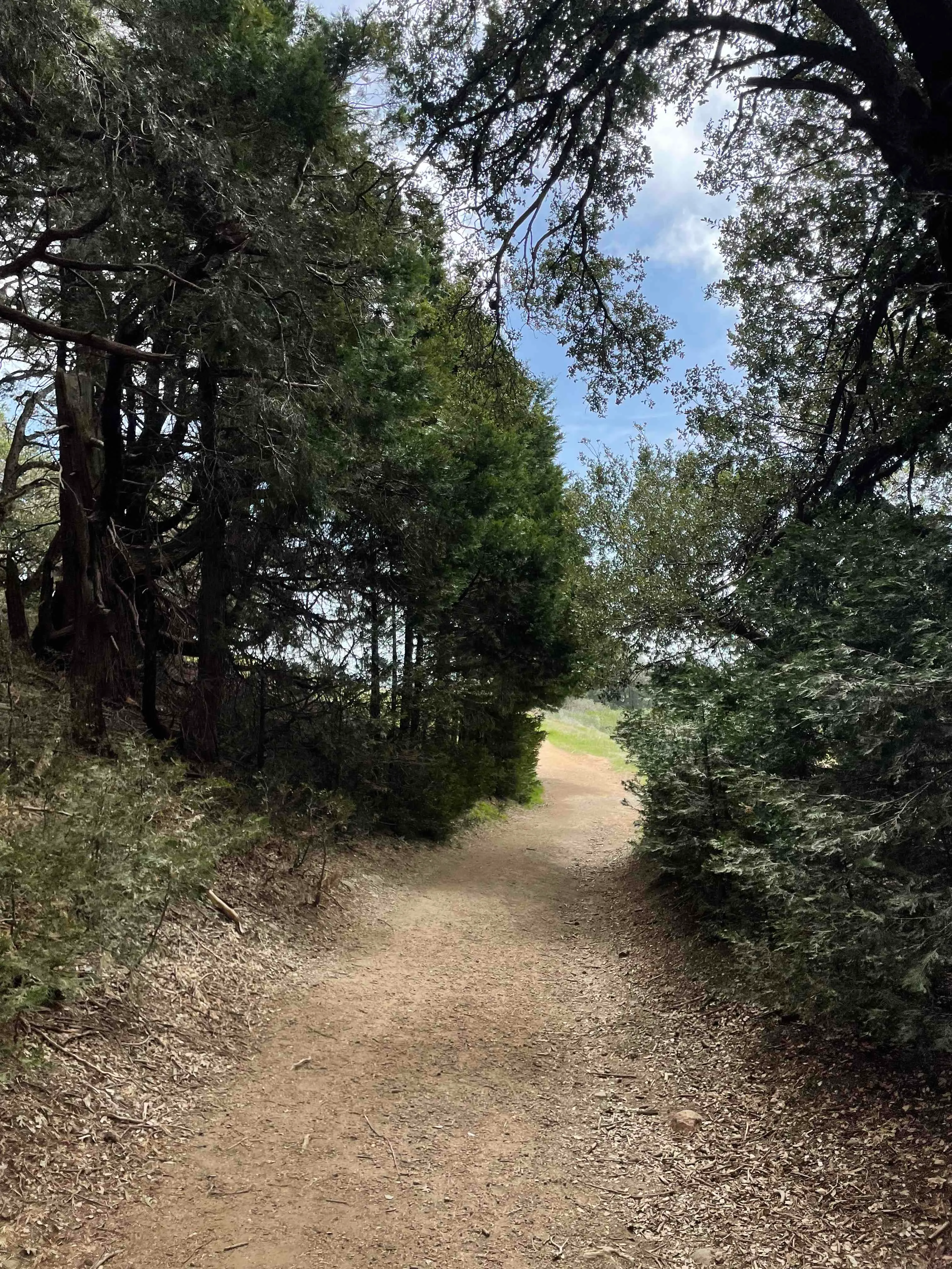 Volcan Mountain Trail