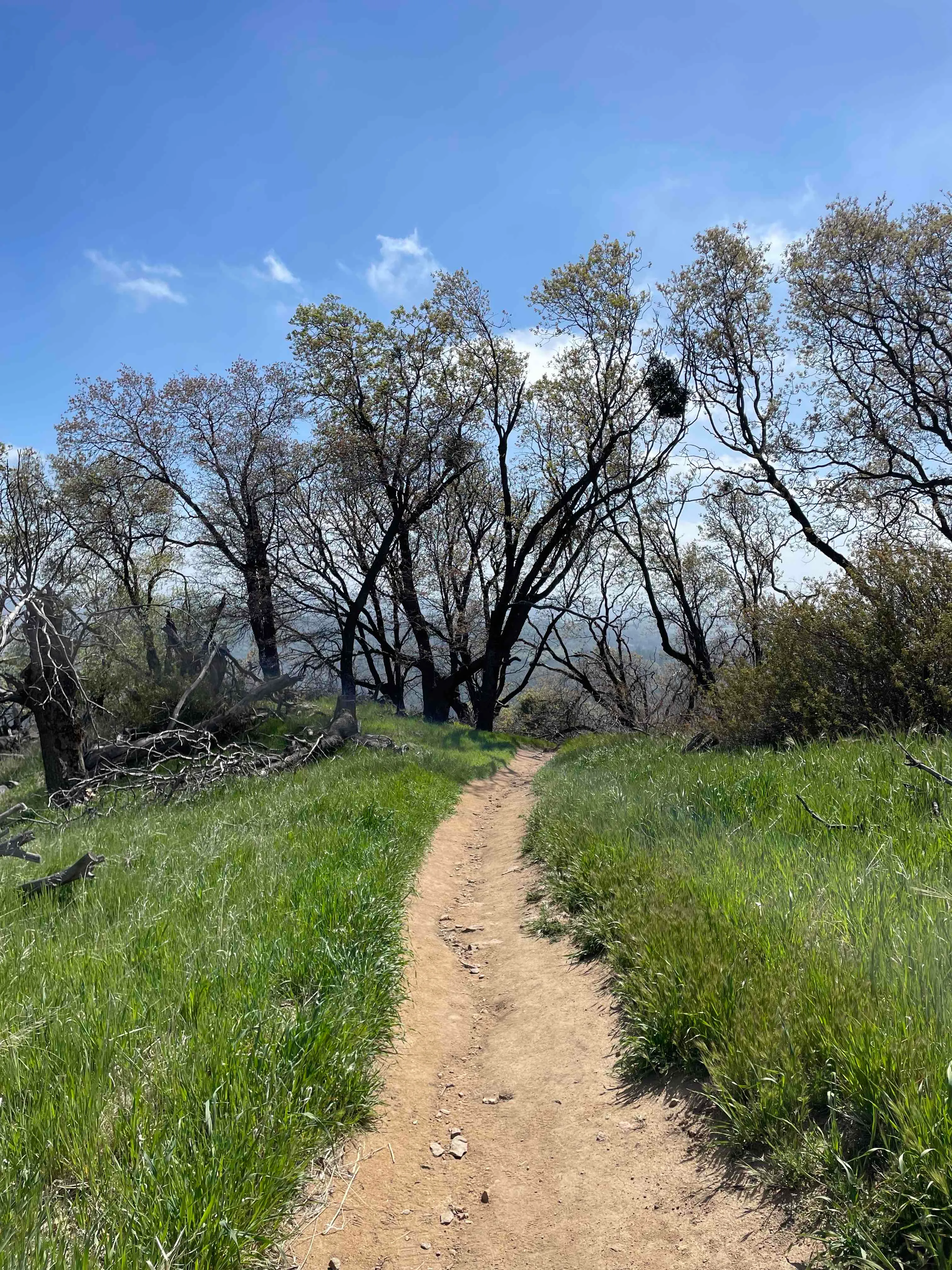 Volcan Mountain Trail