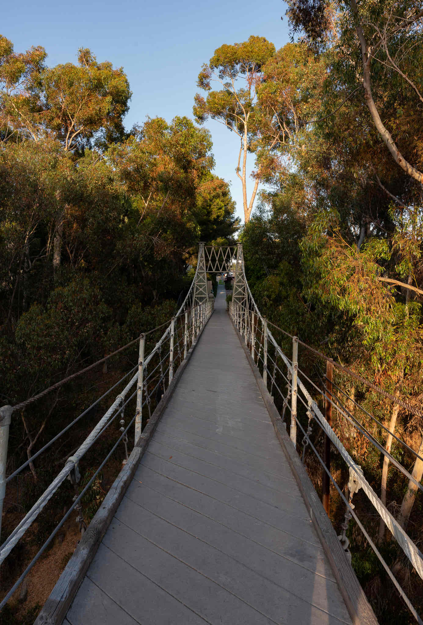 Spruce Street Suspension Bridge 