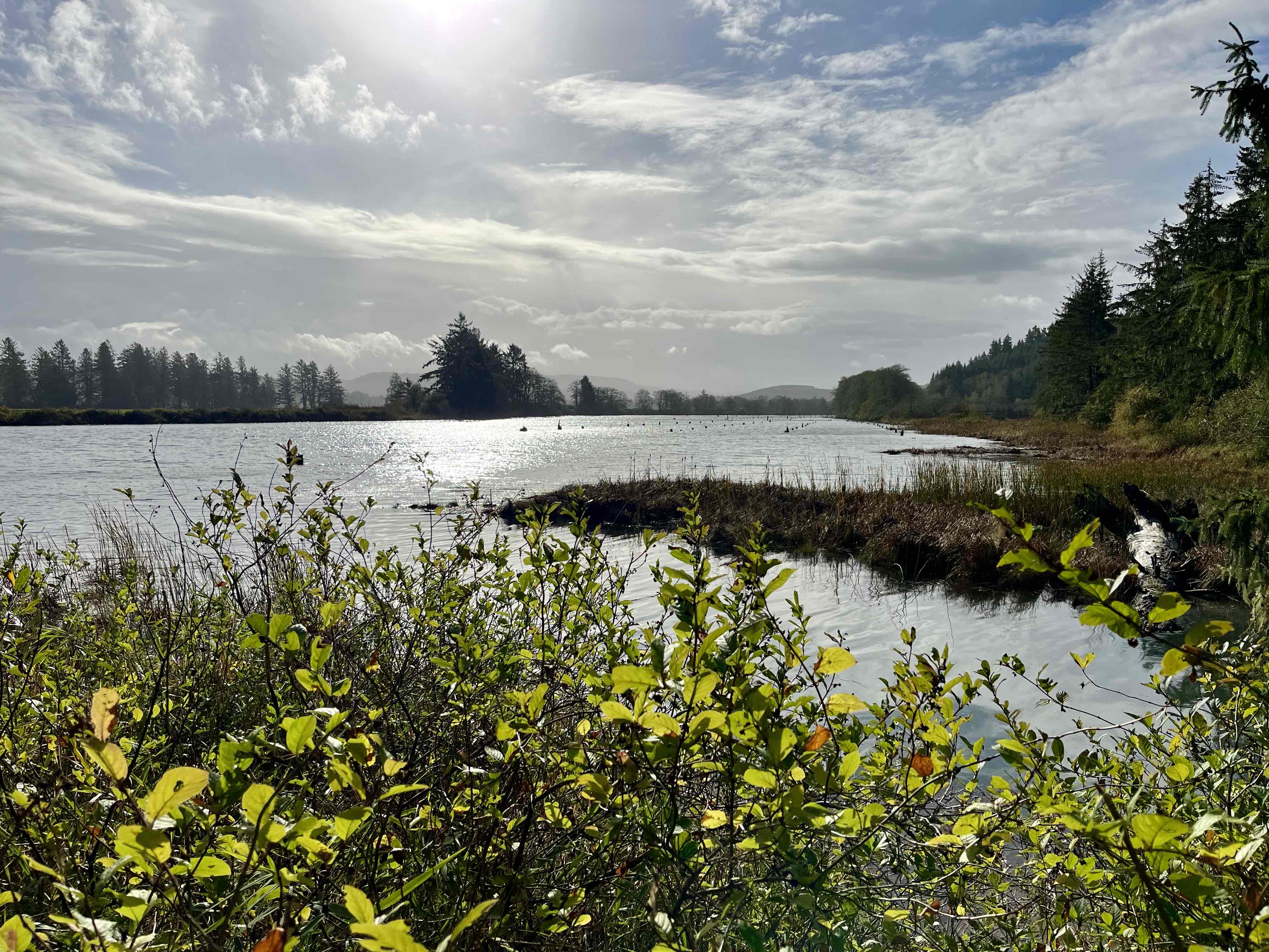 Netul River Trail