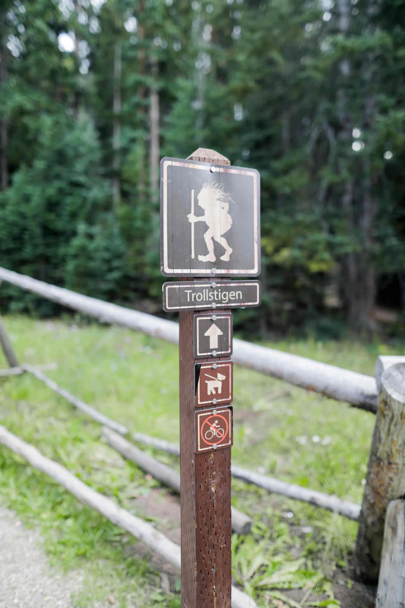 Breckenridge Troll