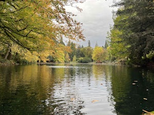 Laurelhurst Park Loop