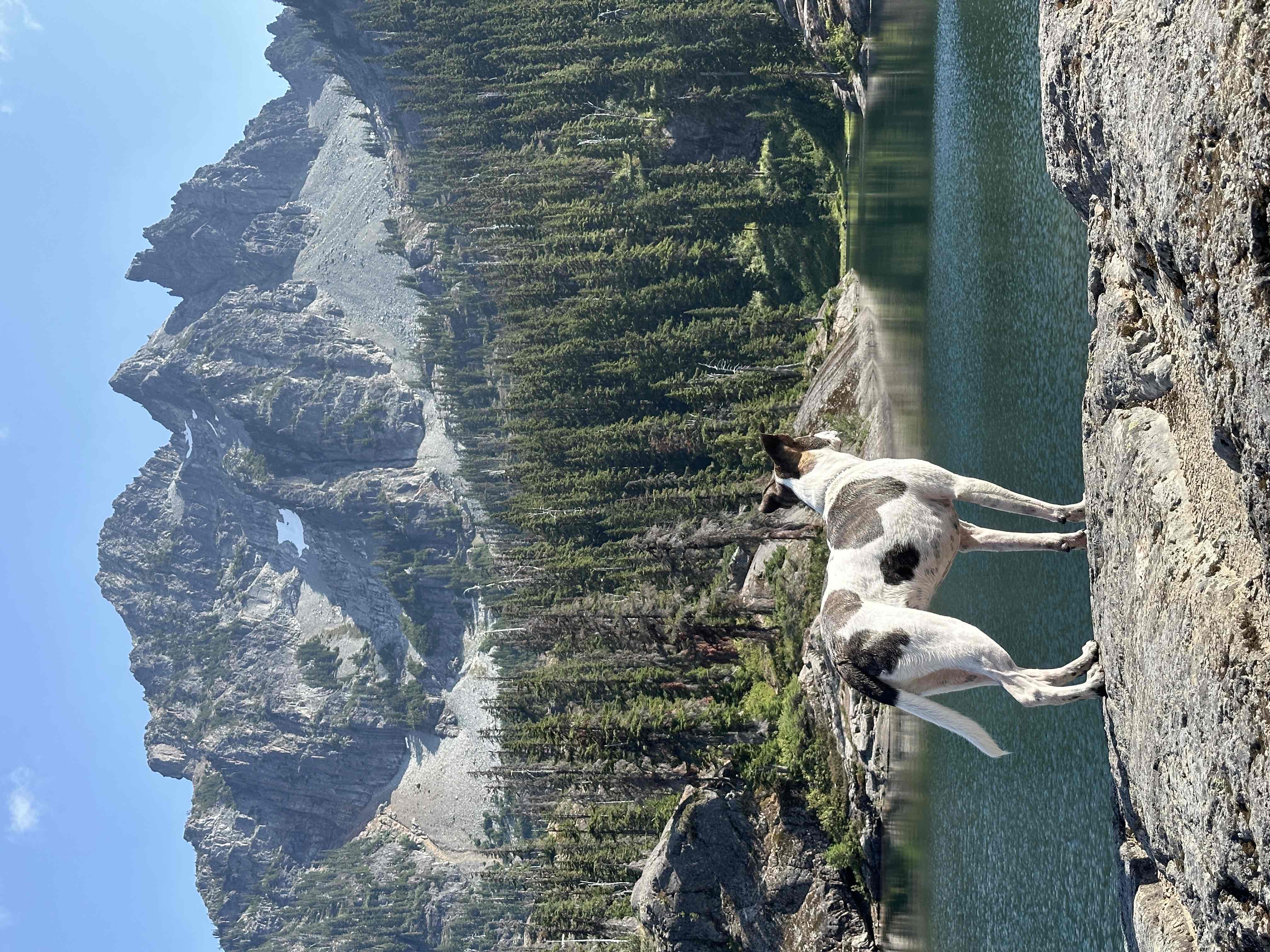 Spectacle Lake via Pete Lake Trail