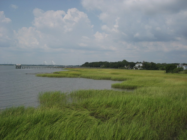 Pitt Street Bridge