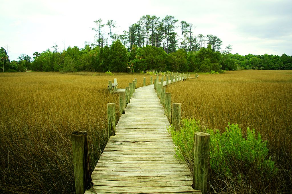 Nature Island Trail