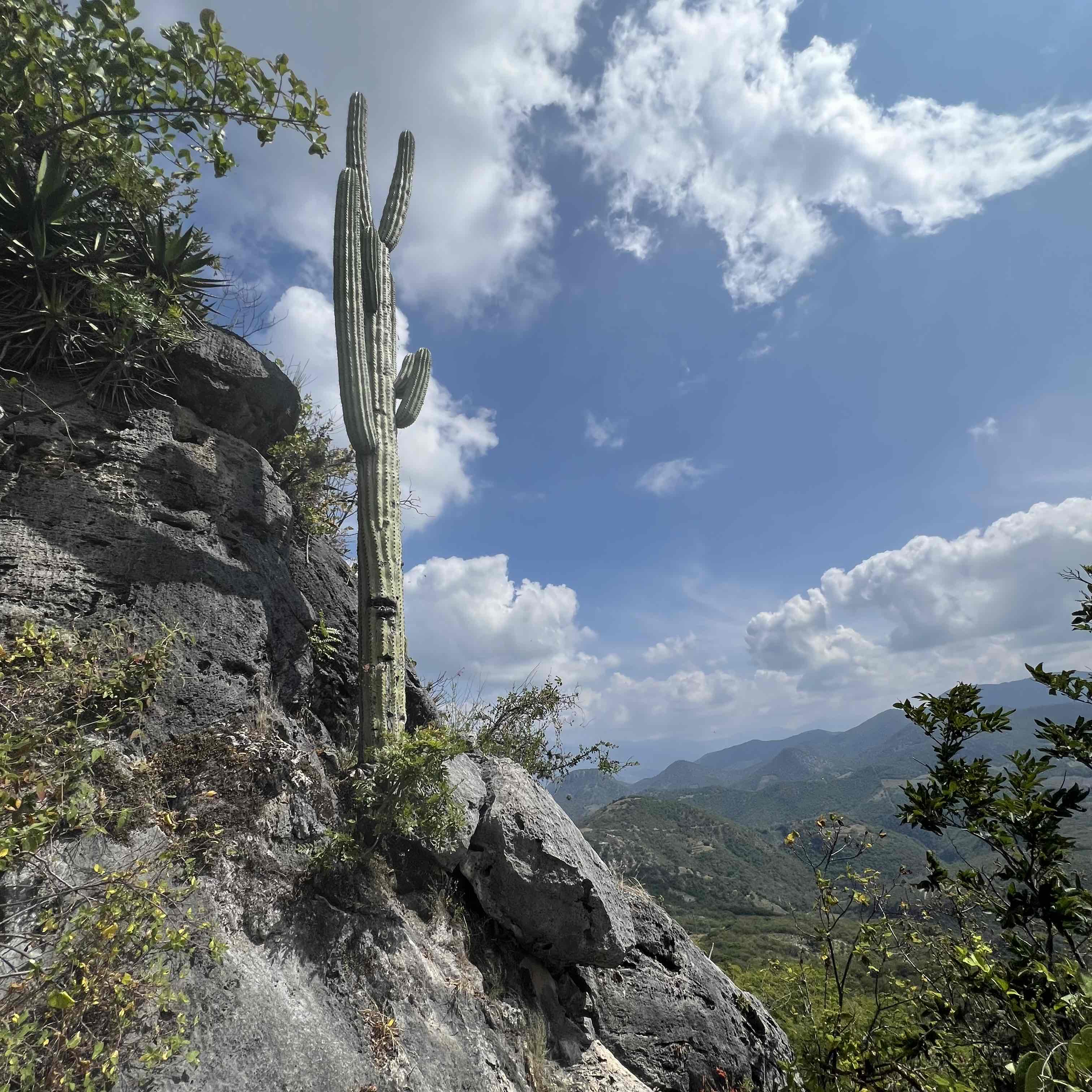 Hierve El Agua